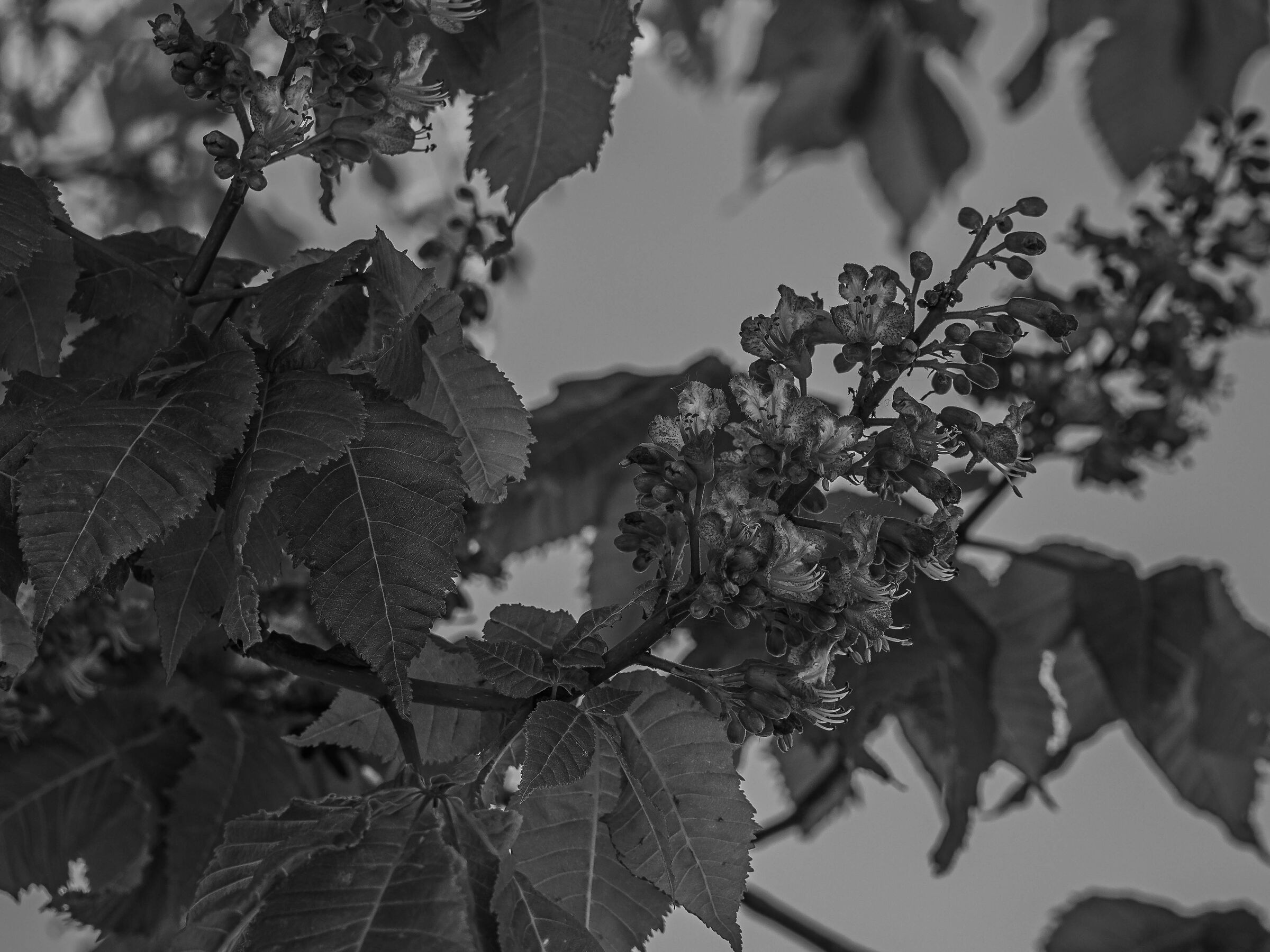 Untitled Photo