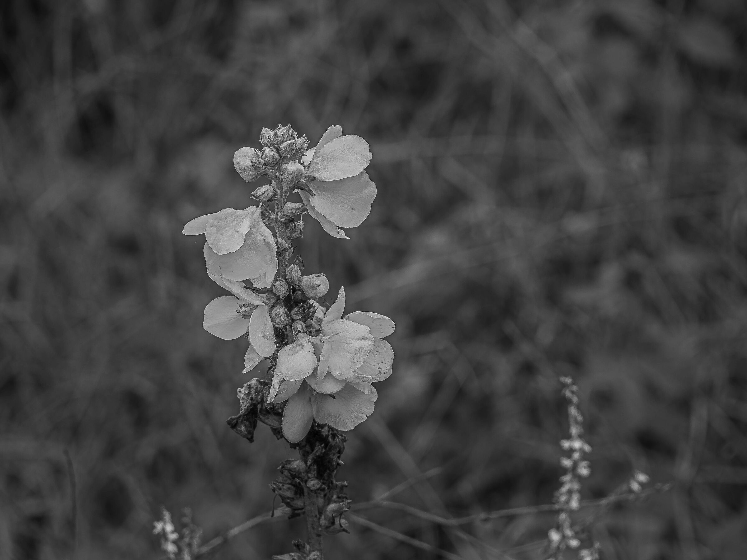 Untitled Photo