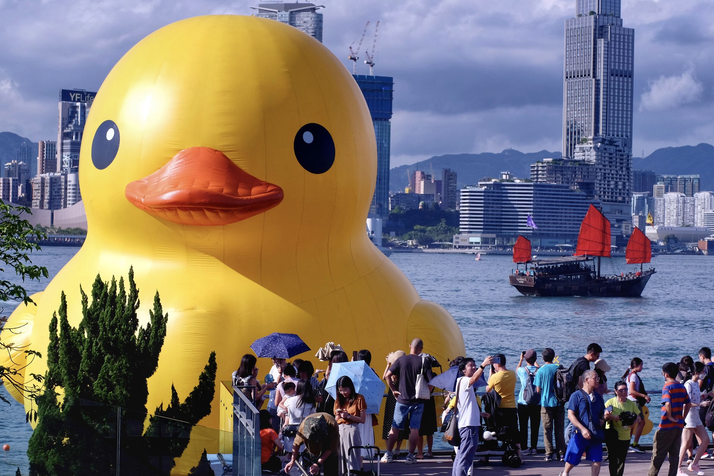 " I seemed to see a duck "