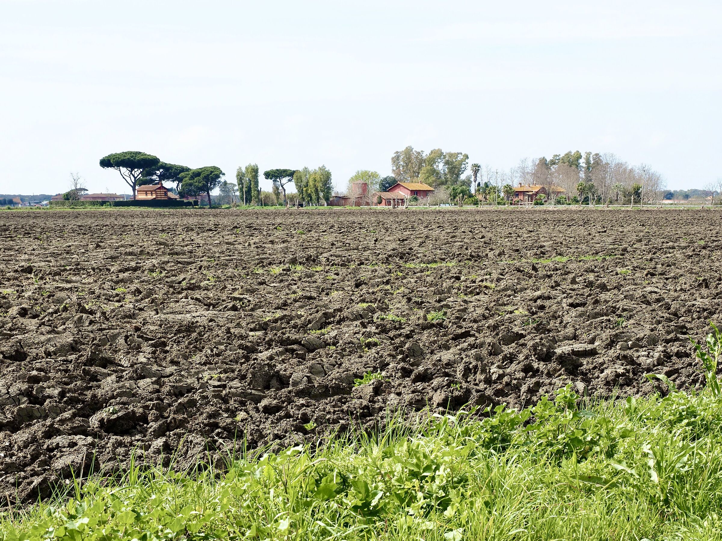 Maccarese e dintorni