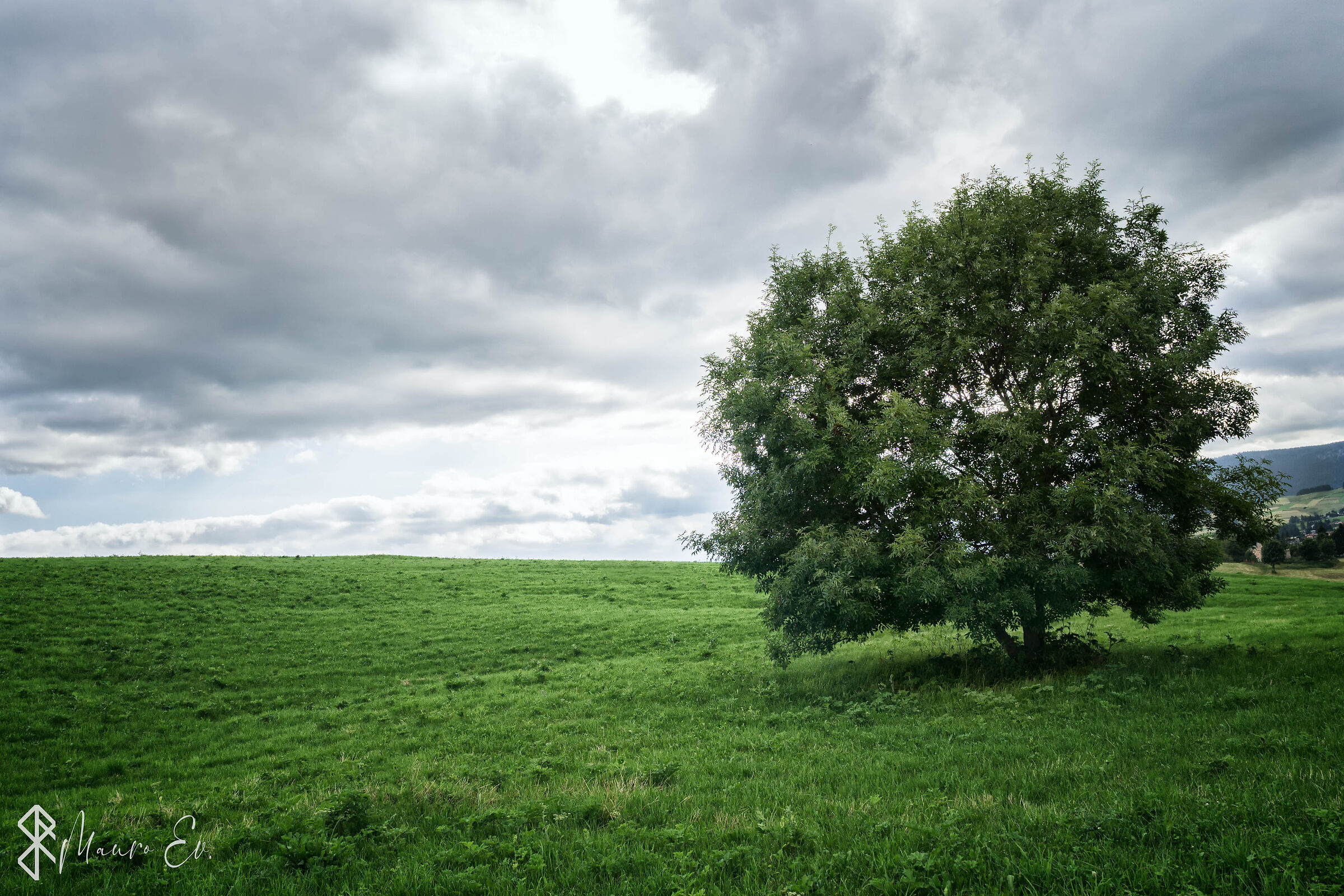 2020, Italia, Asiago (vi)