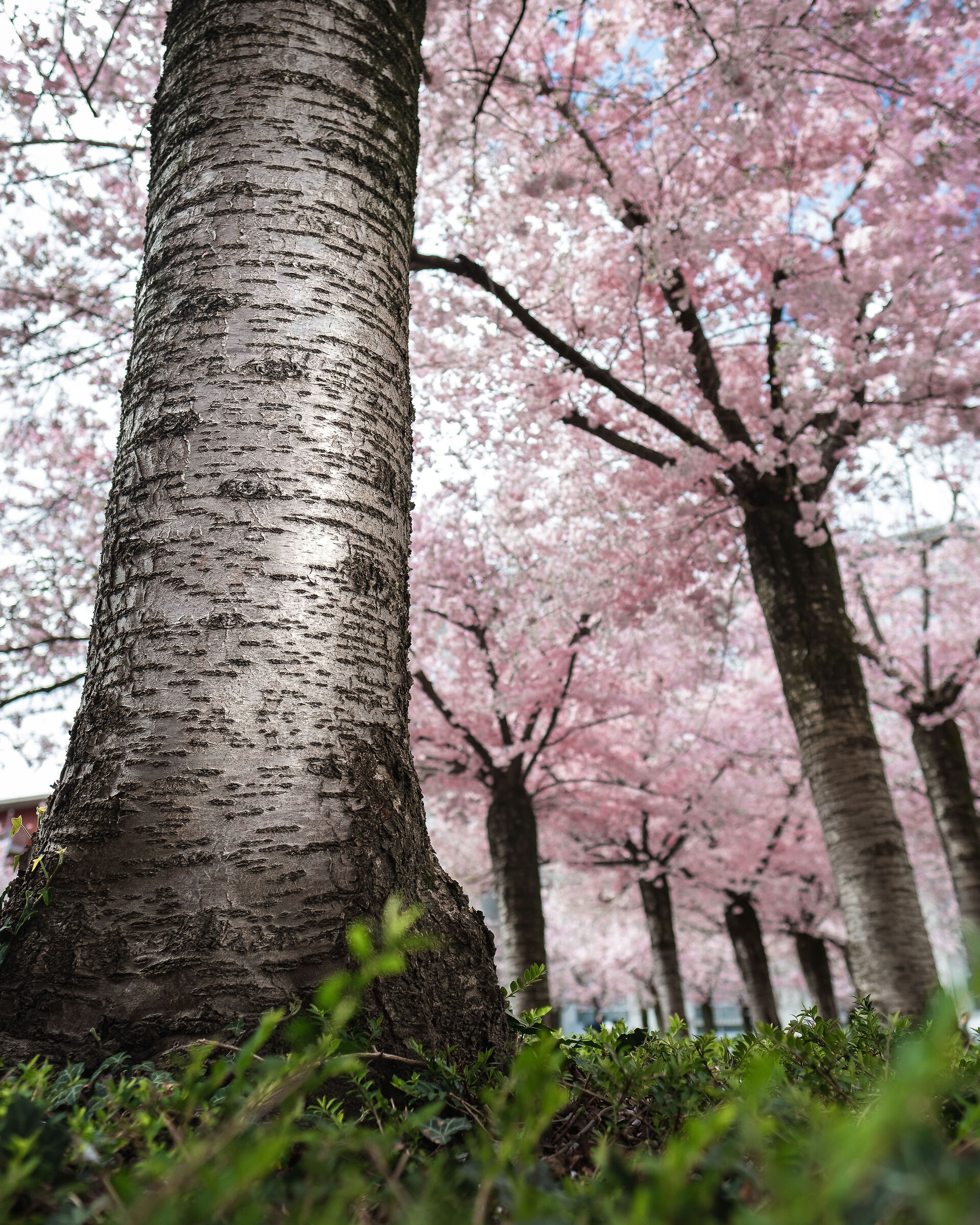 Lugano, Ticino, Switzerland