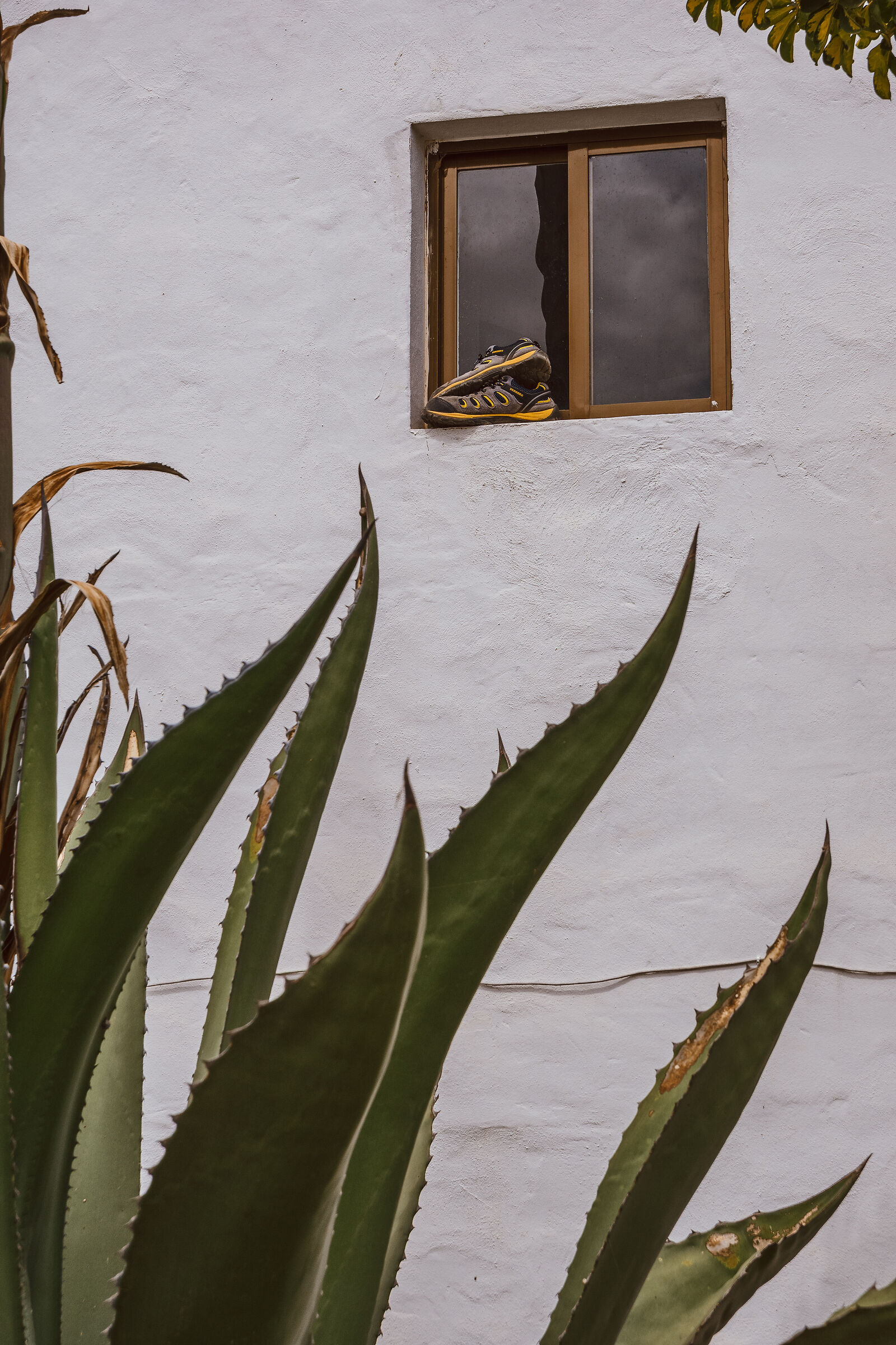 Flames and running shoes at the window