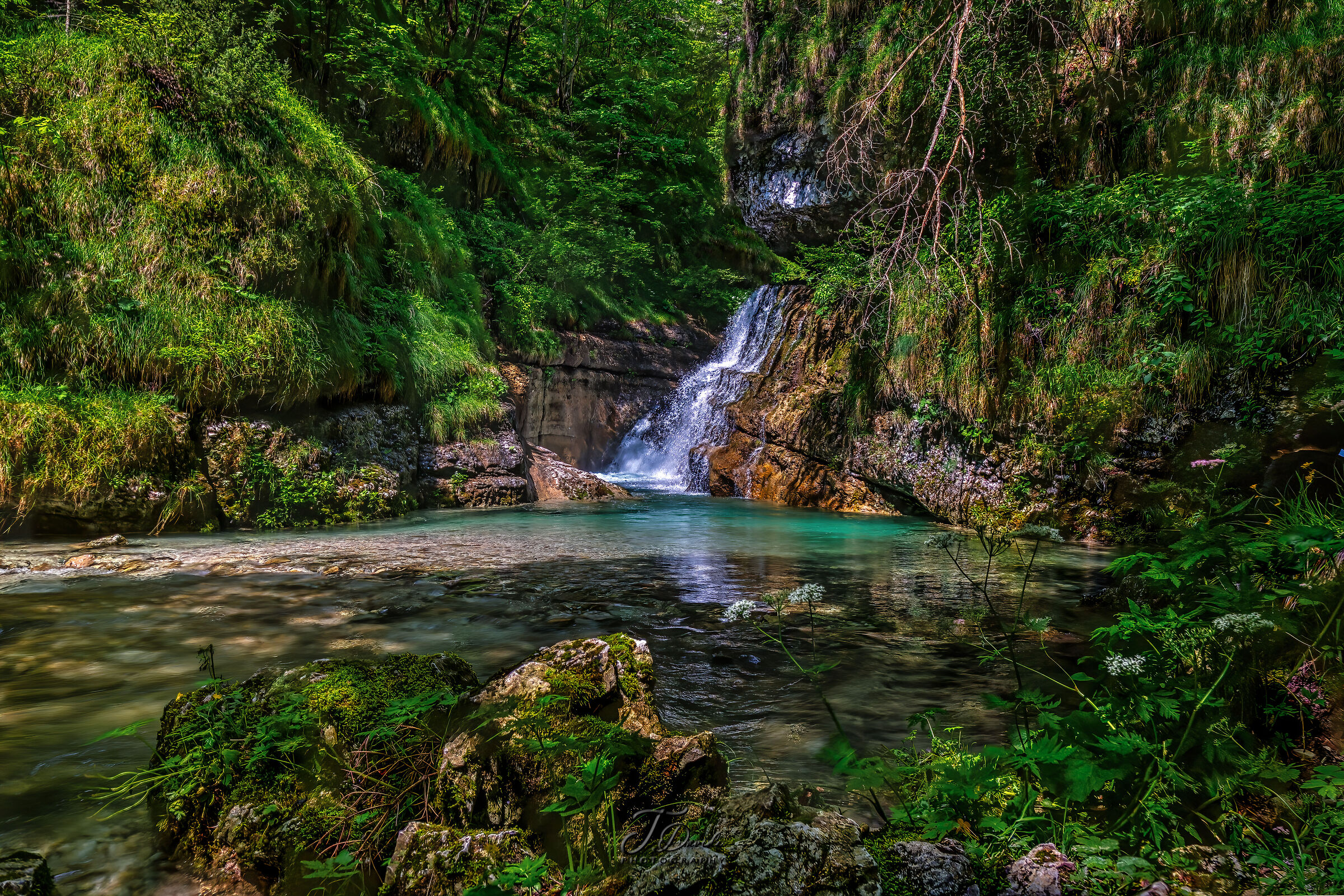 Senaiga Creek (Lamon BL)