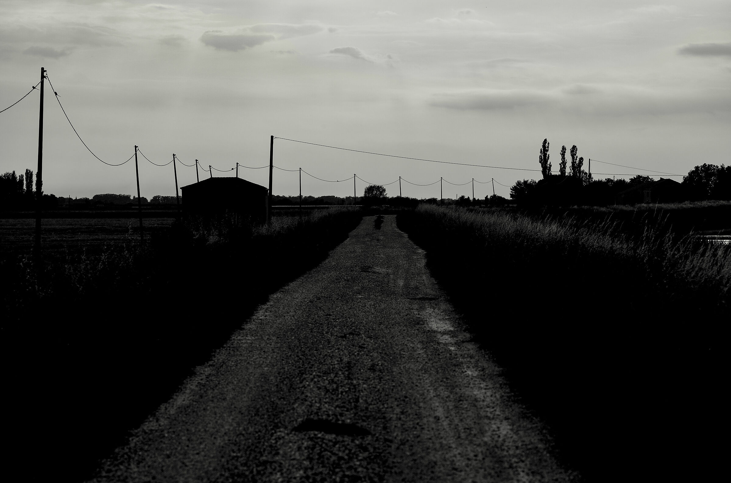 Contours and profiles