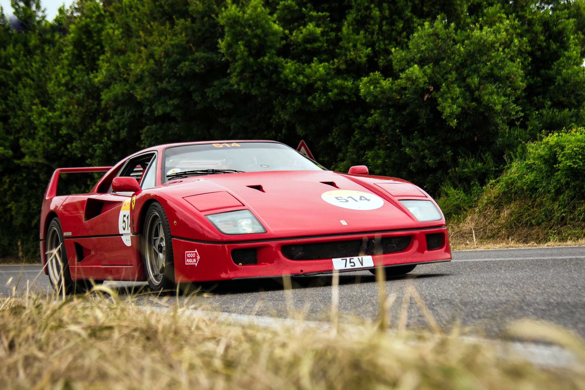 Ferrari tribute 2023