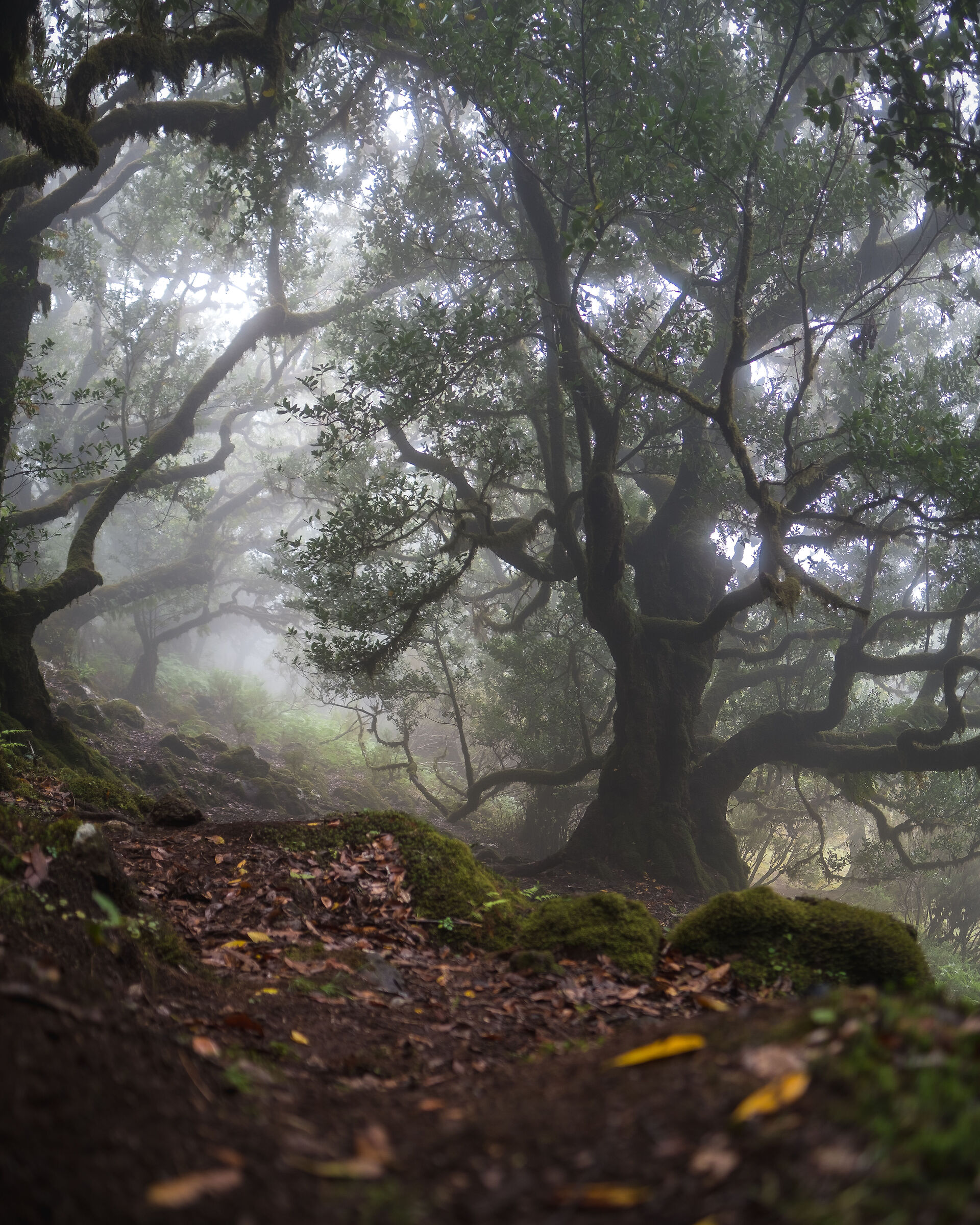 Madeira, Portugal