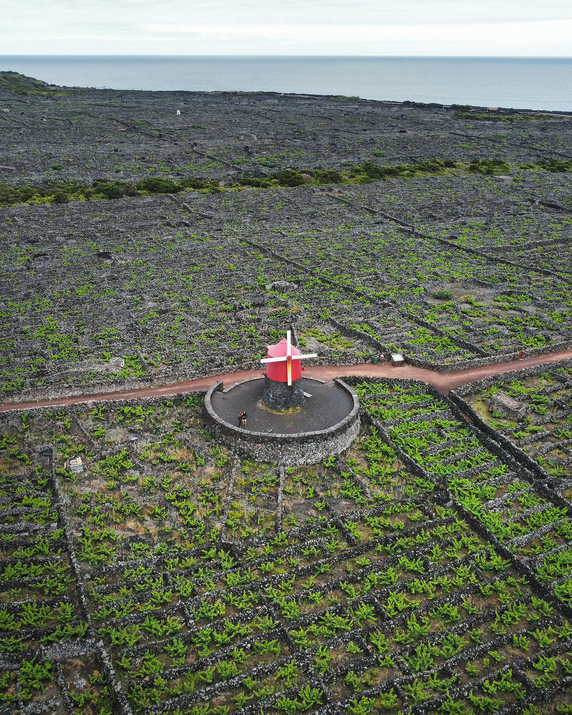 Pico, Azores, Portugal