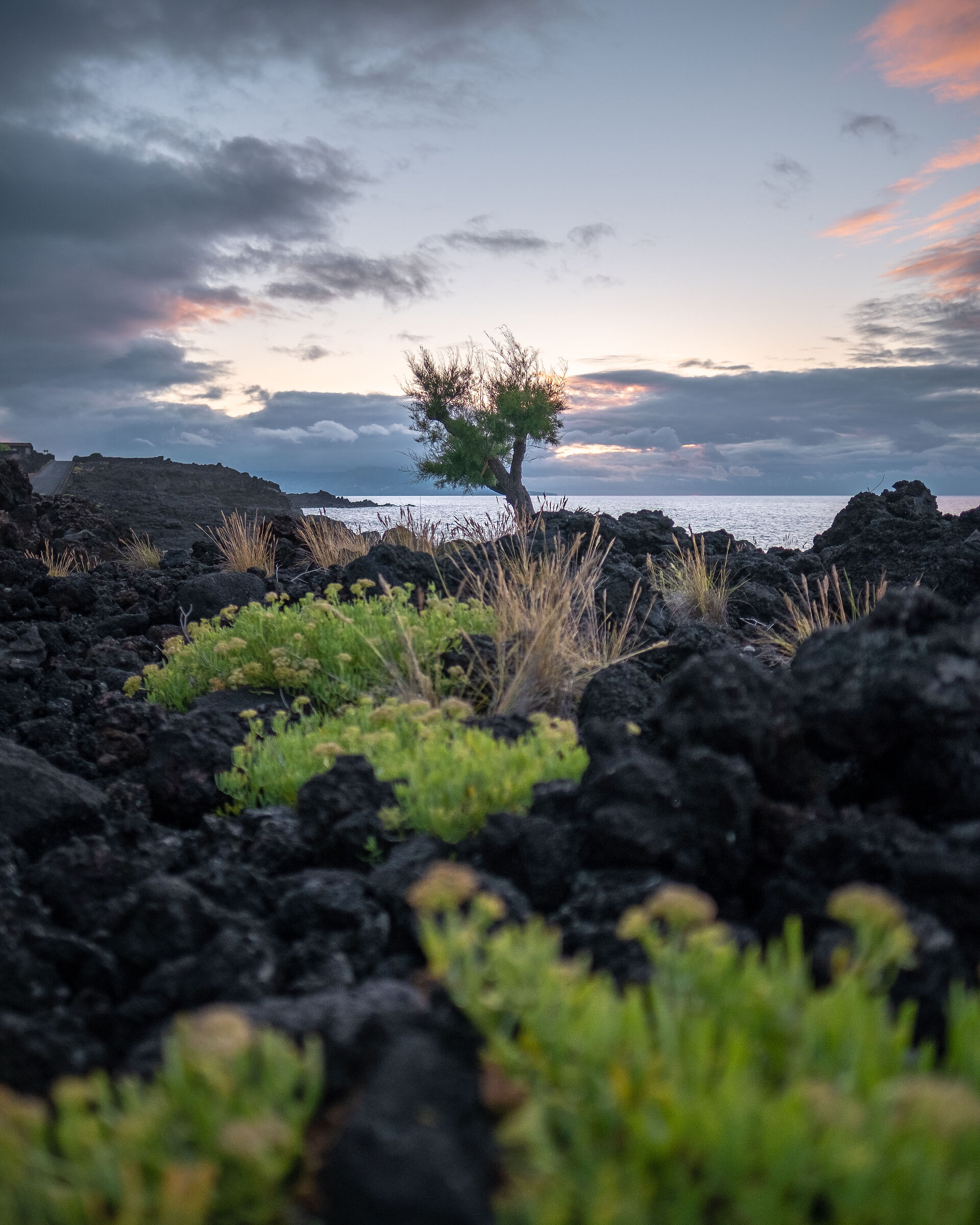Pico, Azores, Portugal
