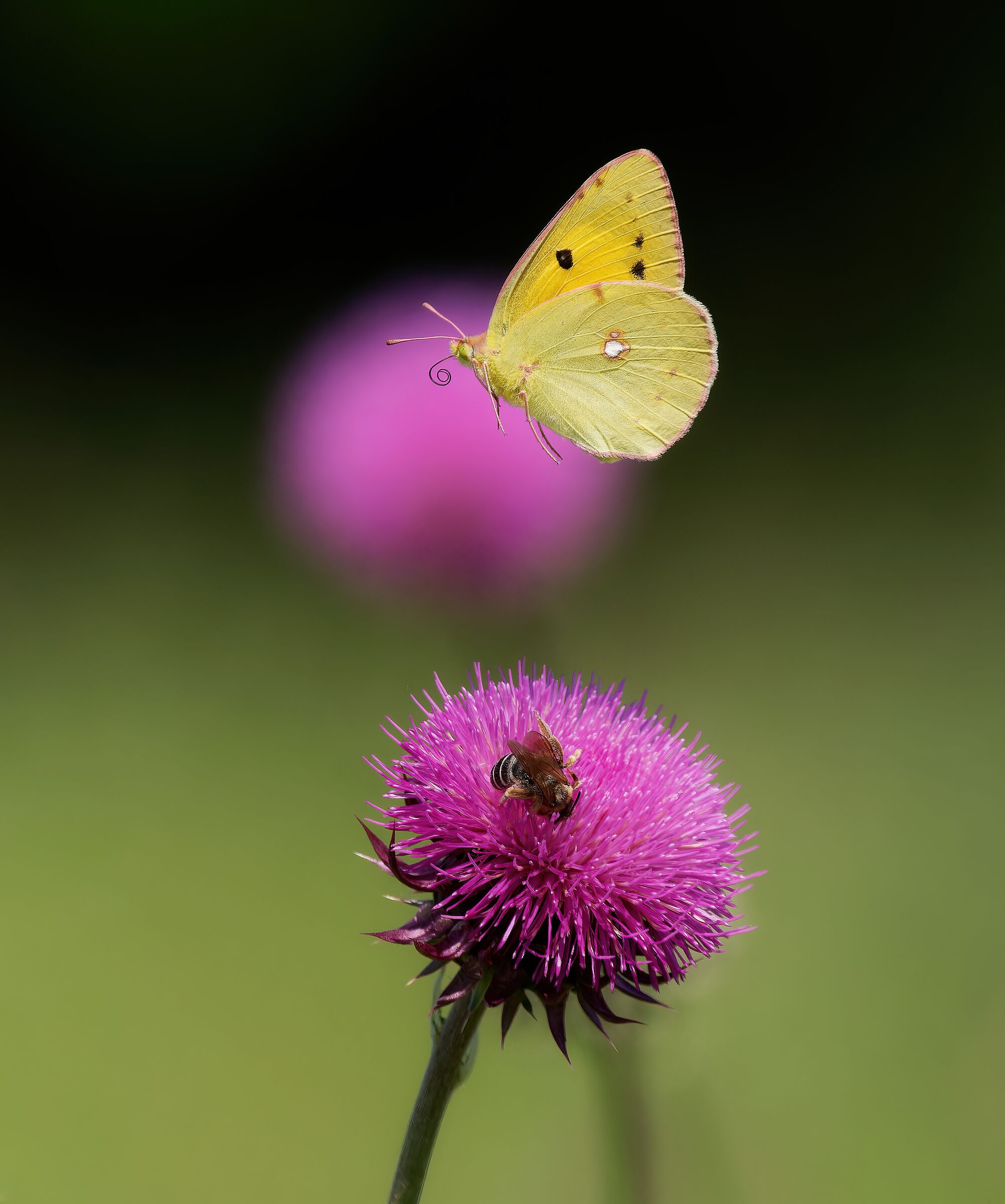 The lightness of being