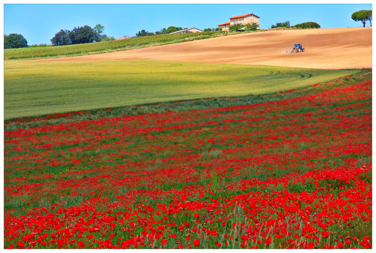 Sulle colline di Loreto