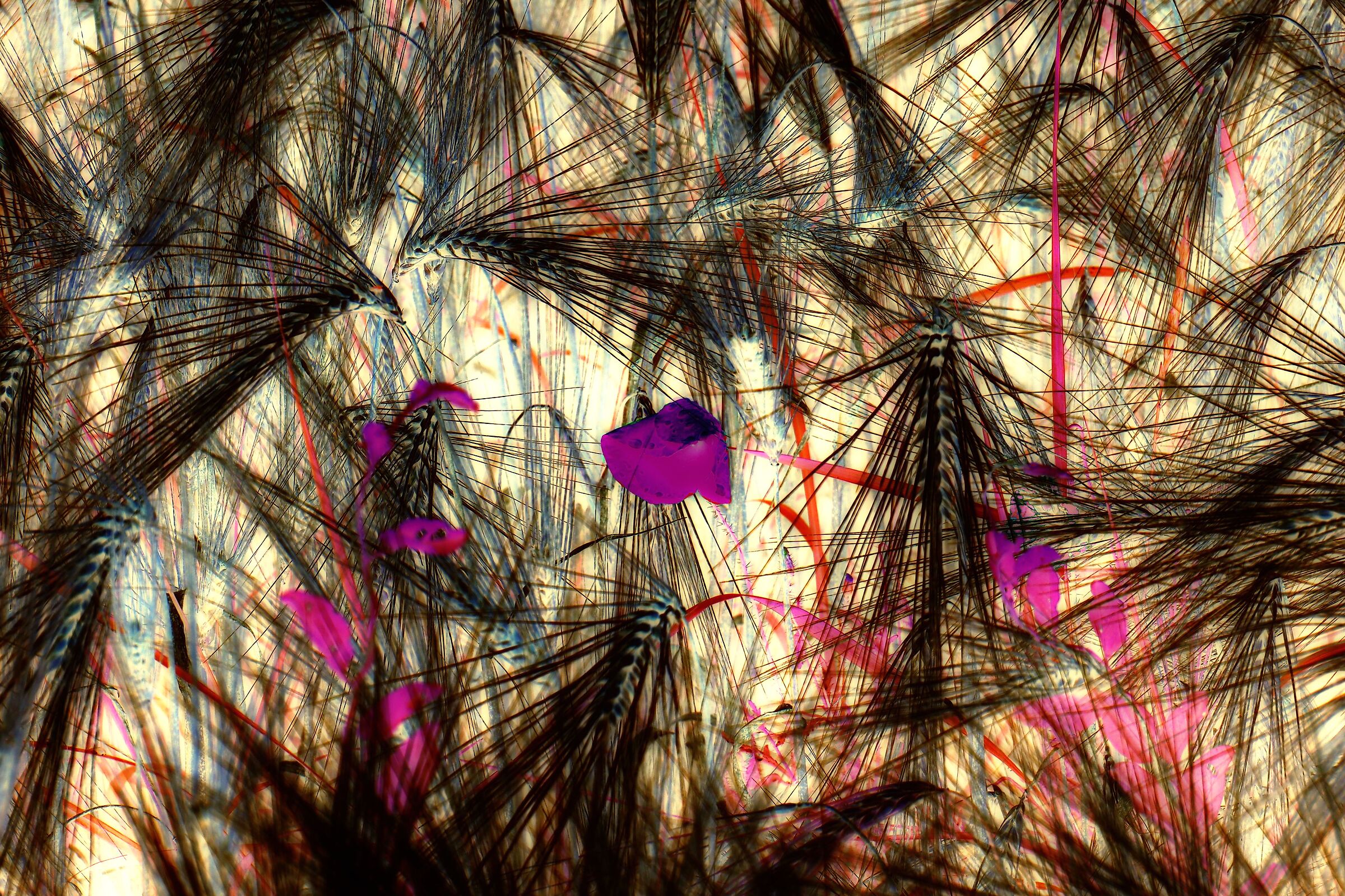 Negativity on the pitch