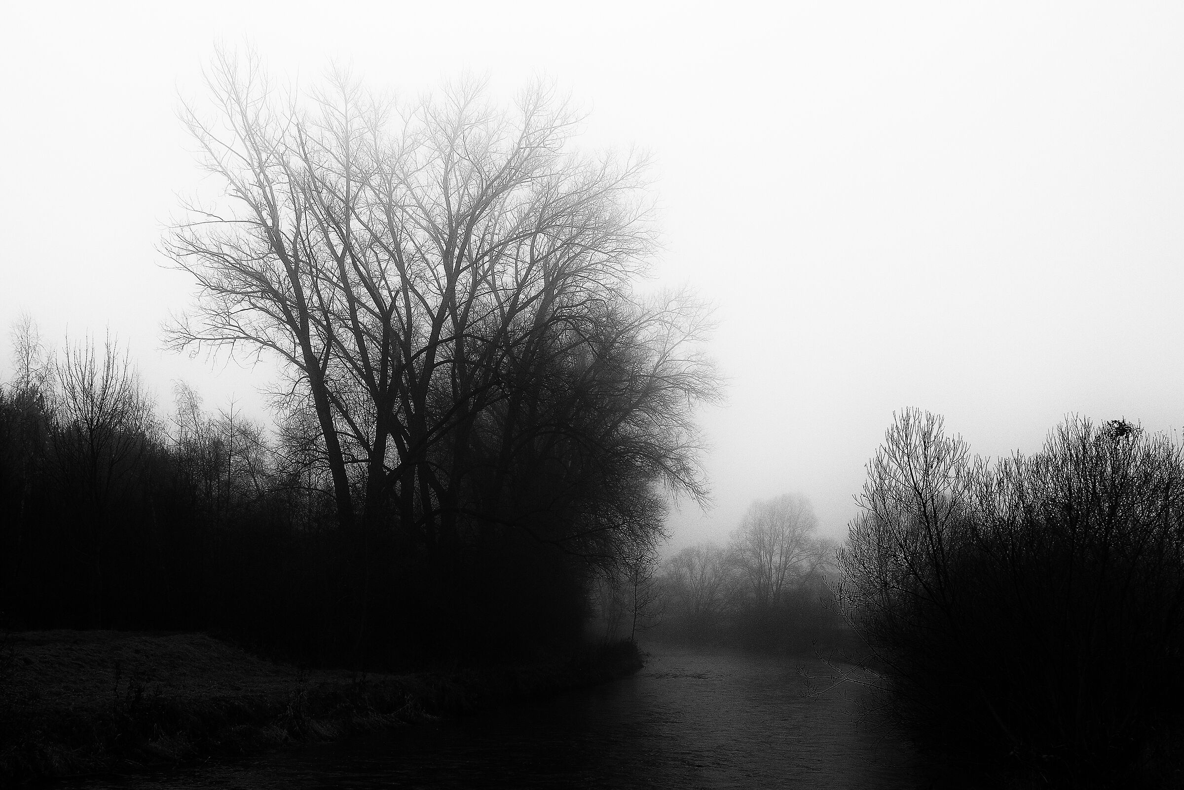 Fiume nella nebbia