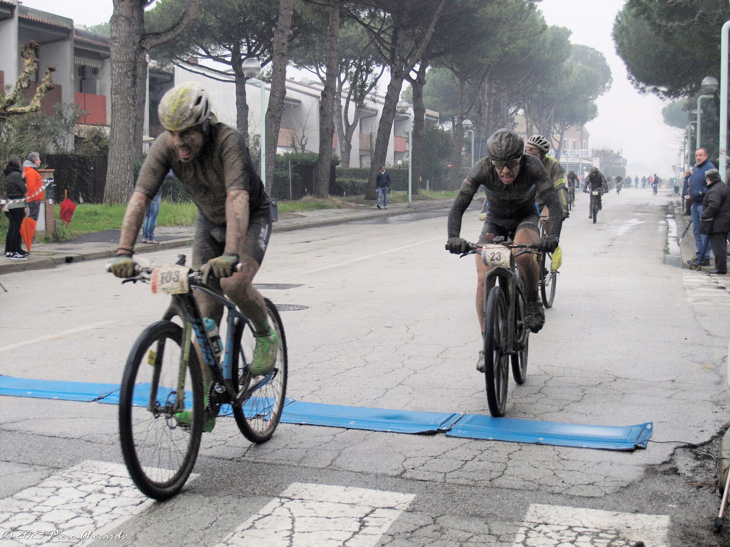Mountain Bike