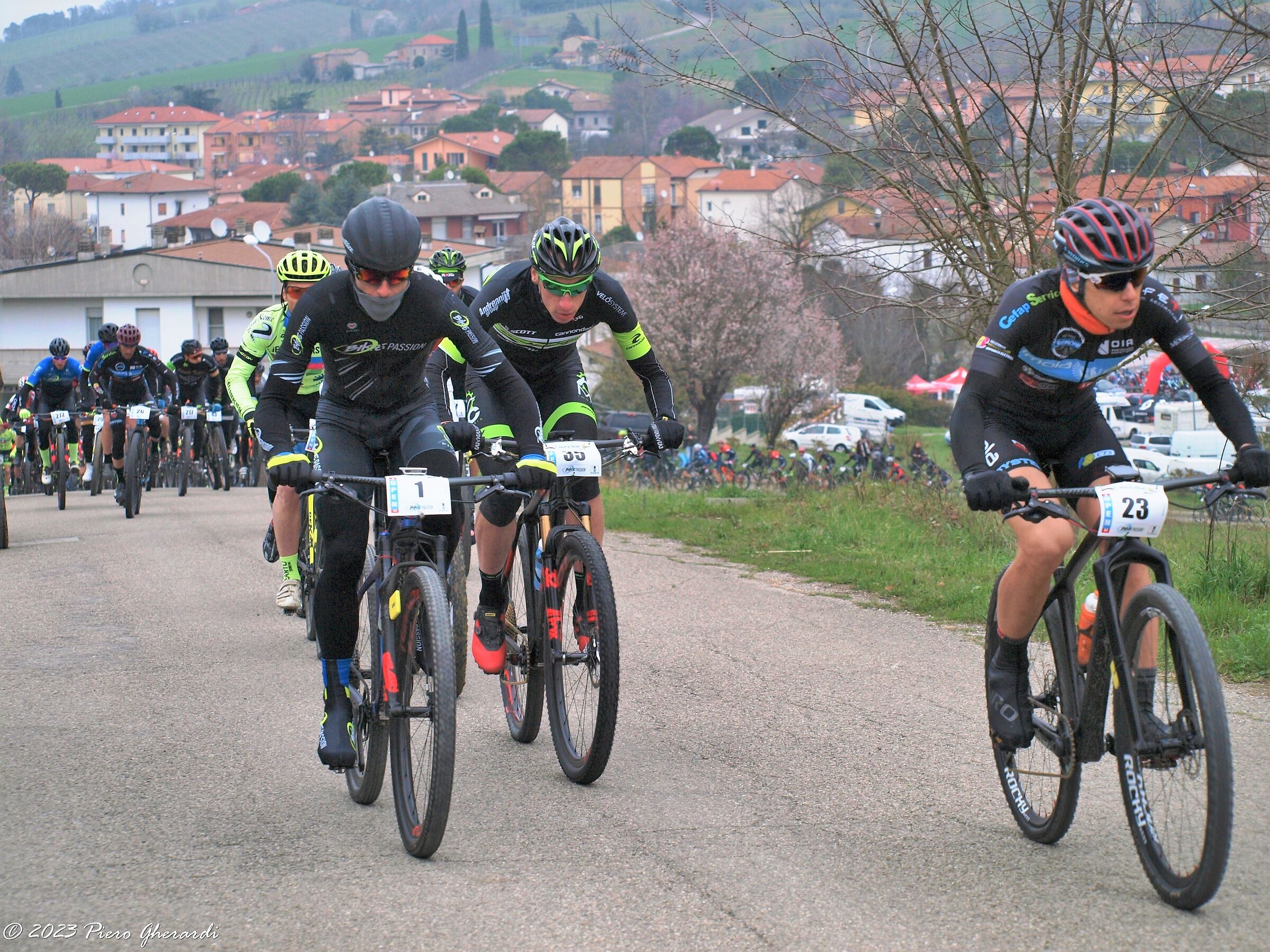 Mountain Bike