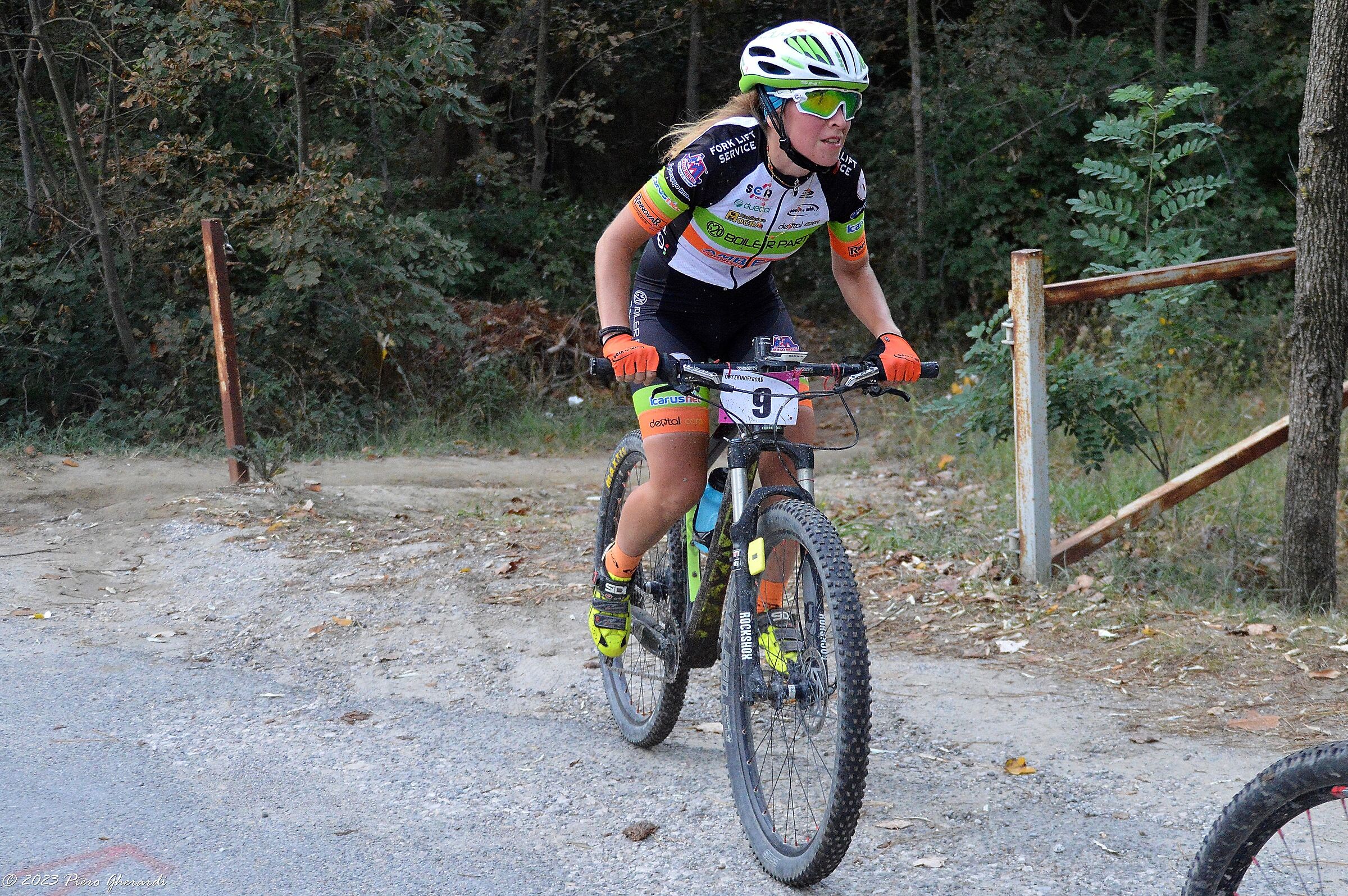 Mountain Bike