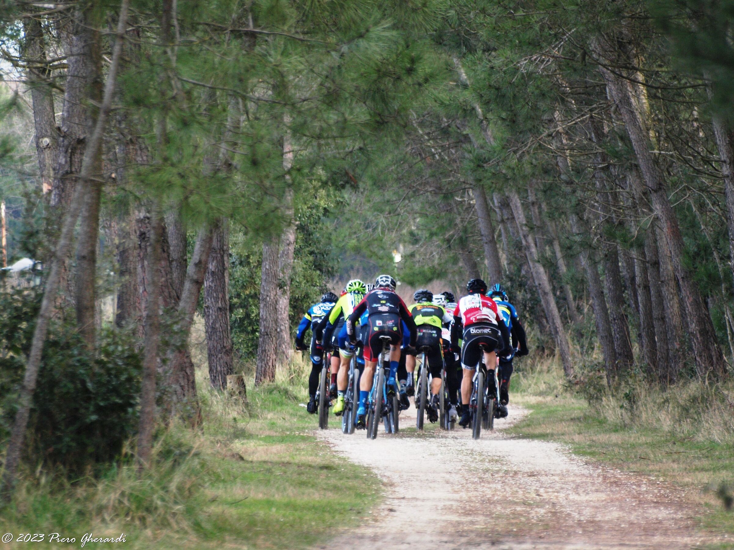 Mountain Bike