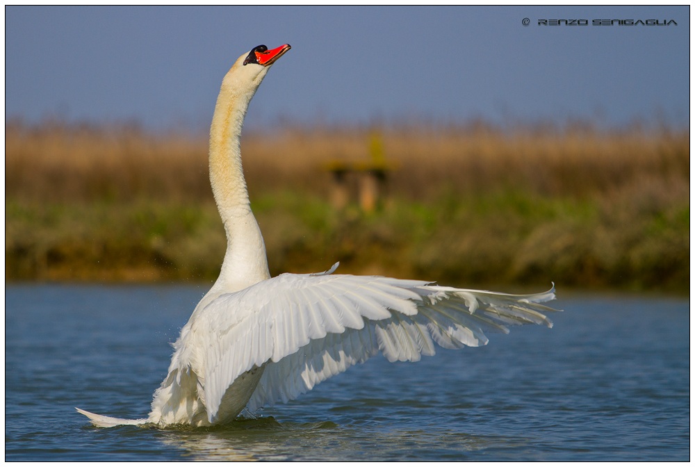 When you know to be photographed!