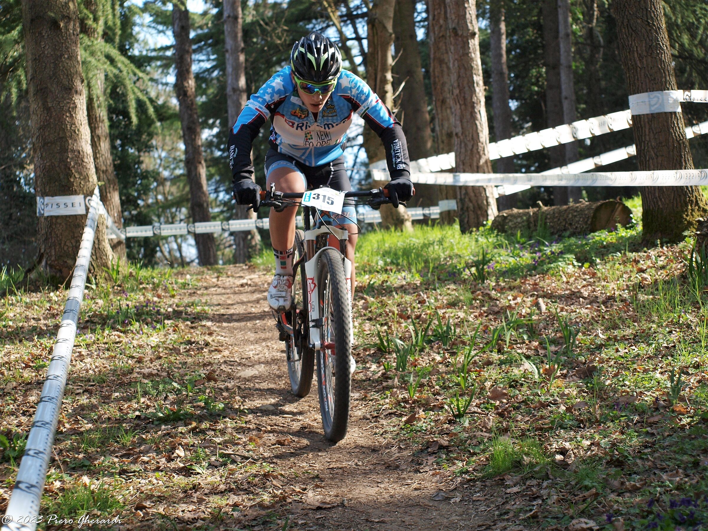 Mountain Bike