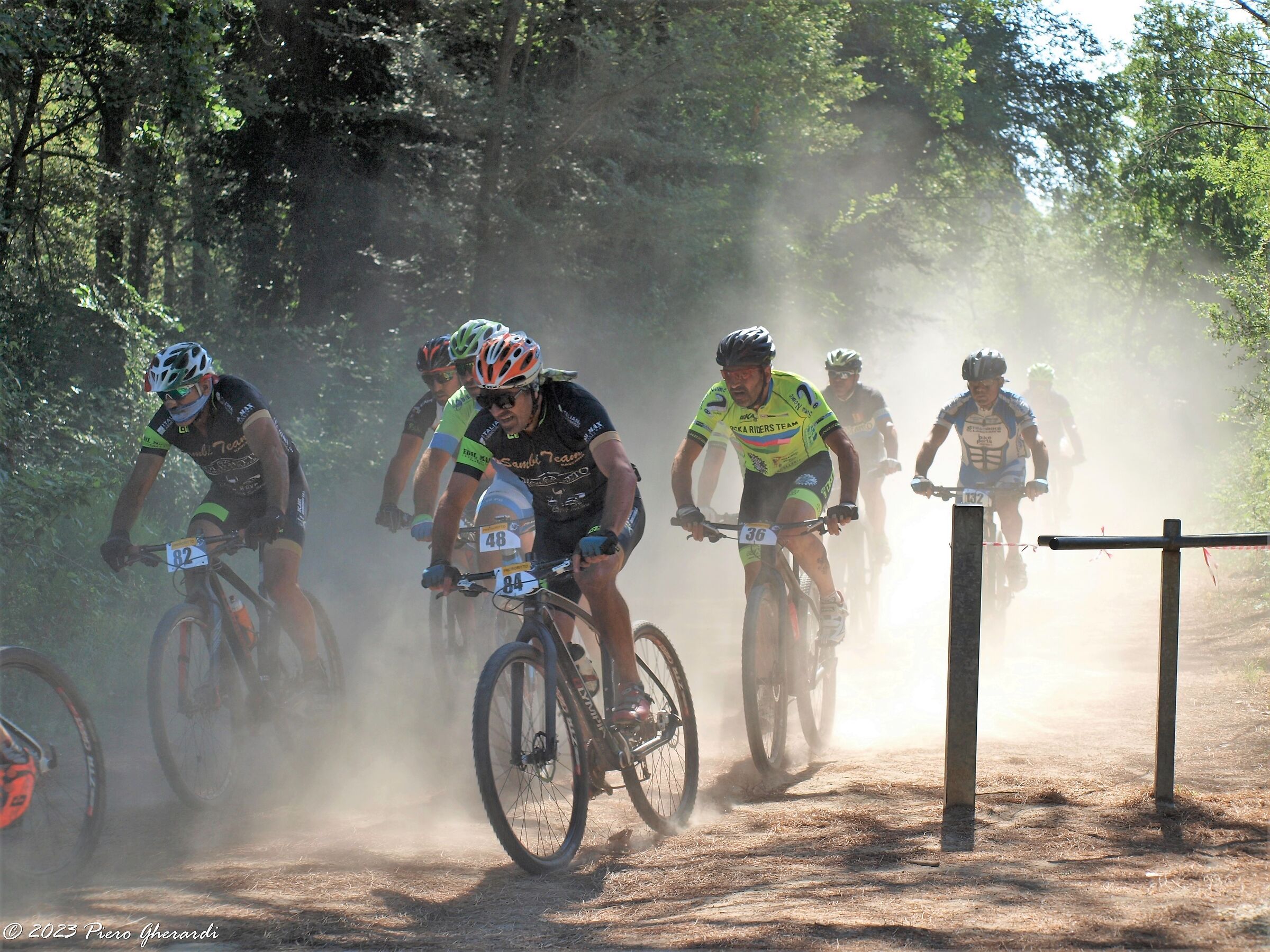 Mountain Bike