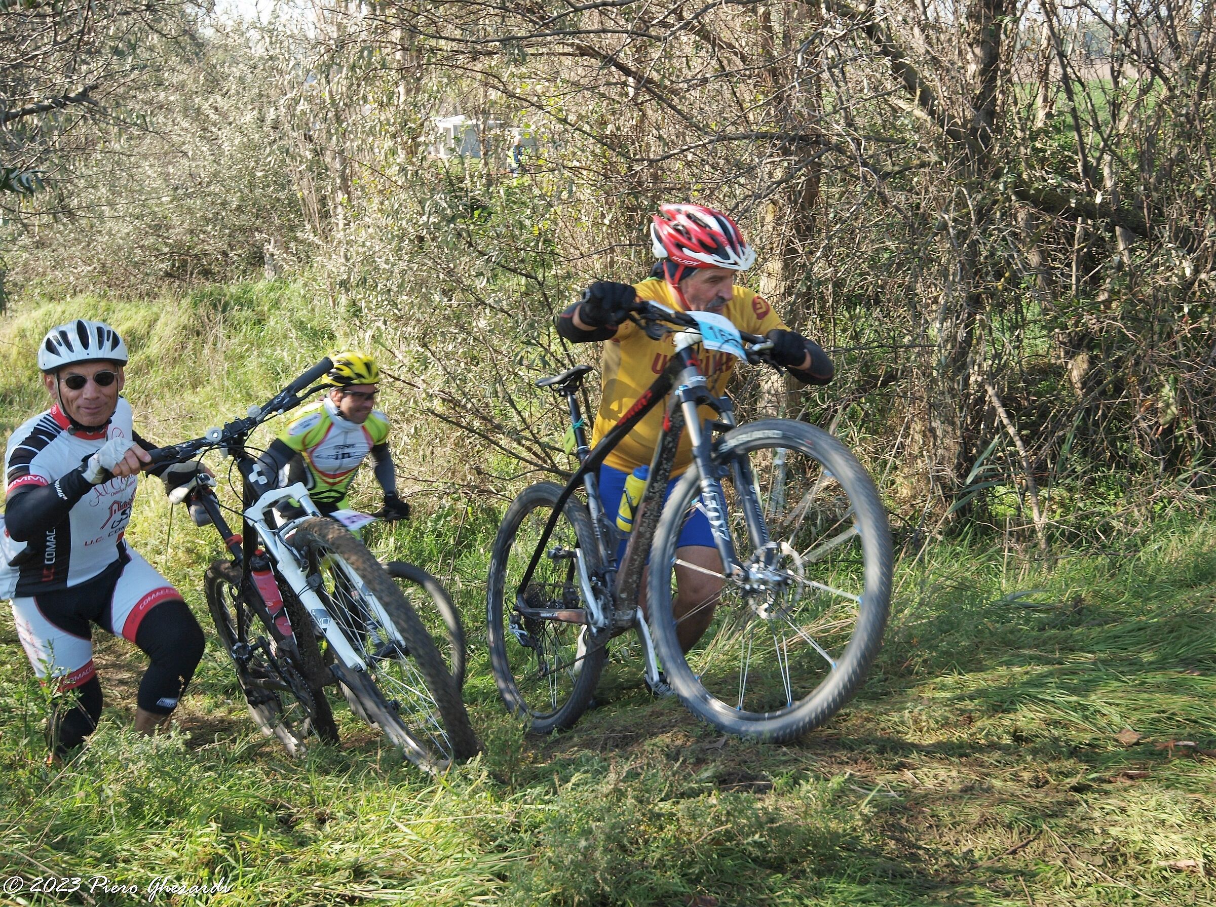 Mountain Bike