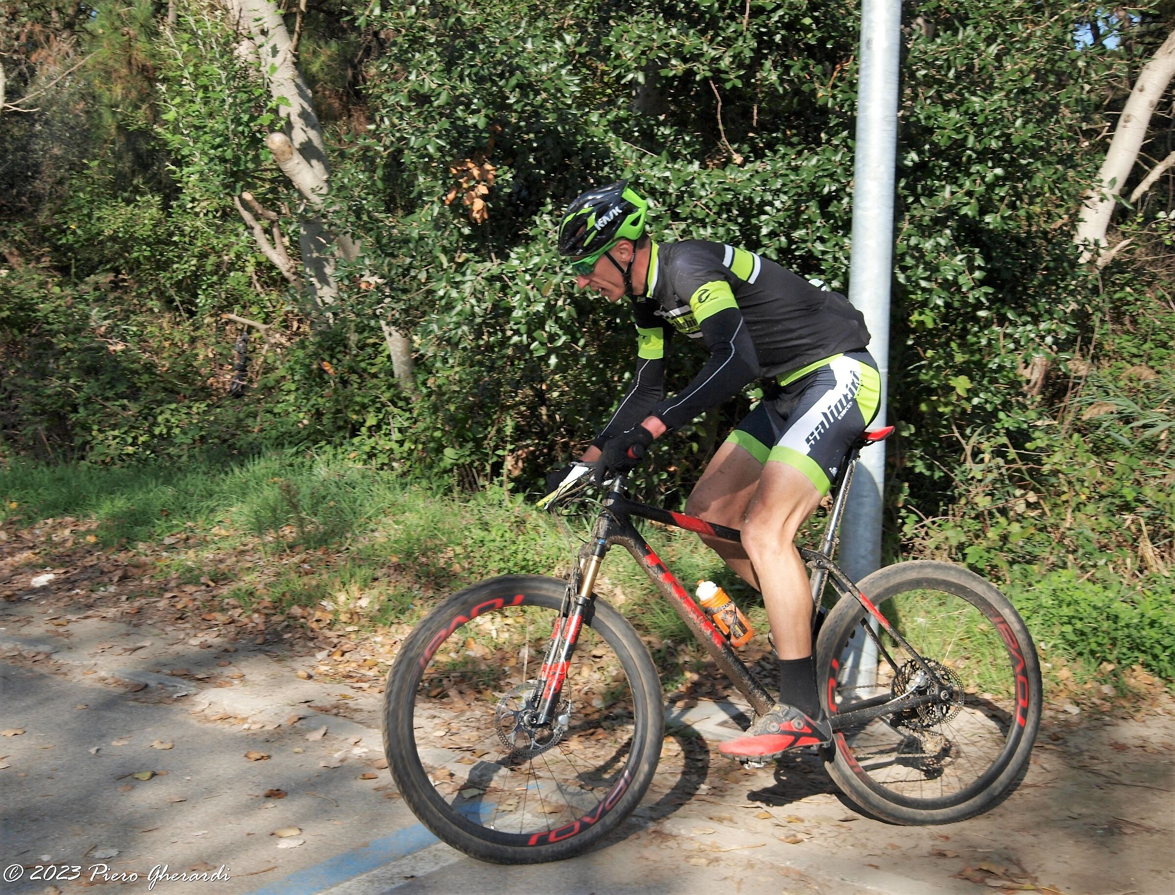 Mountain Bike