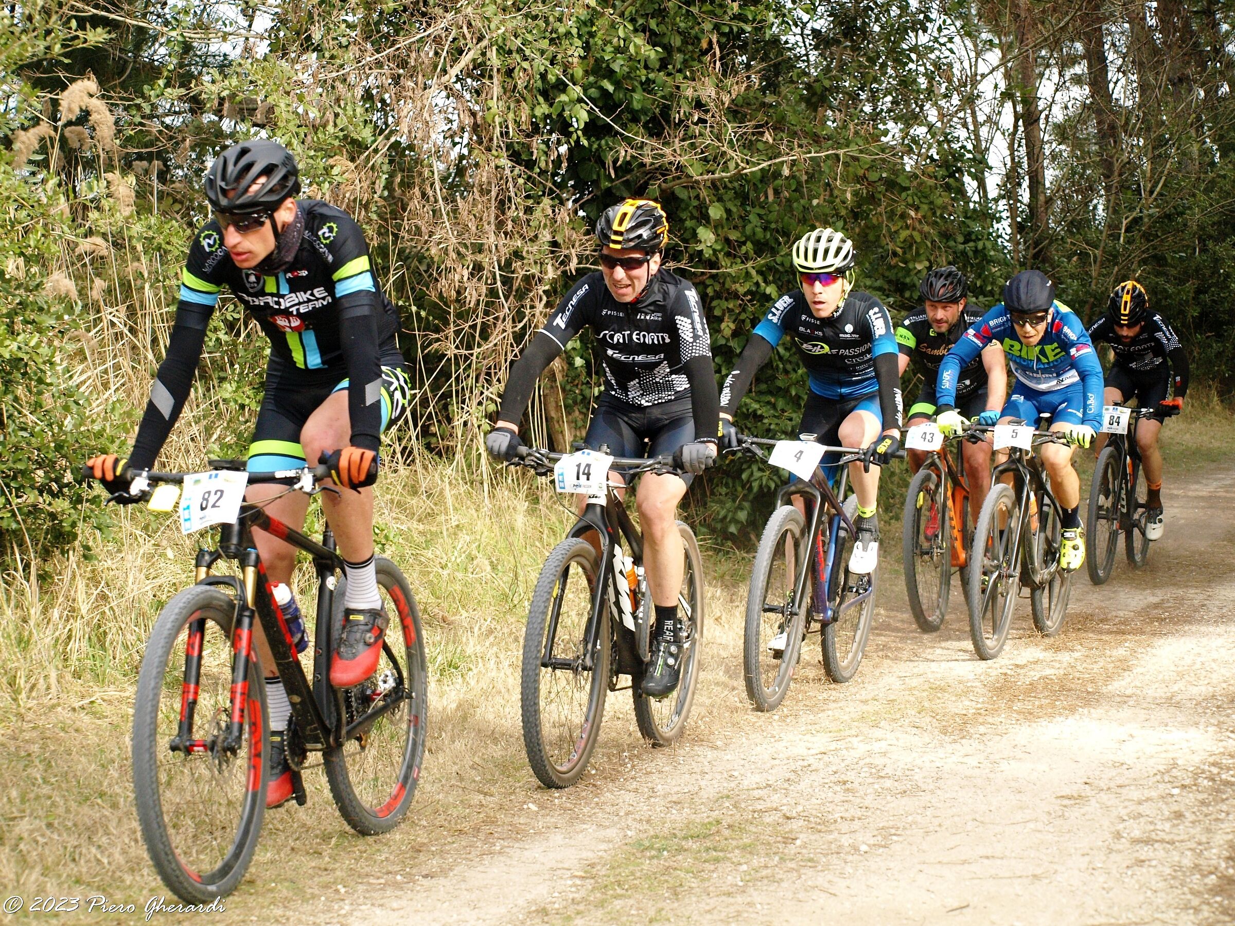 Mountain Bike