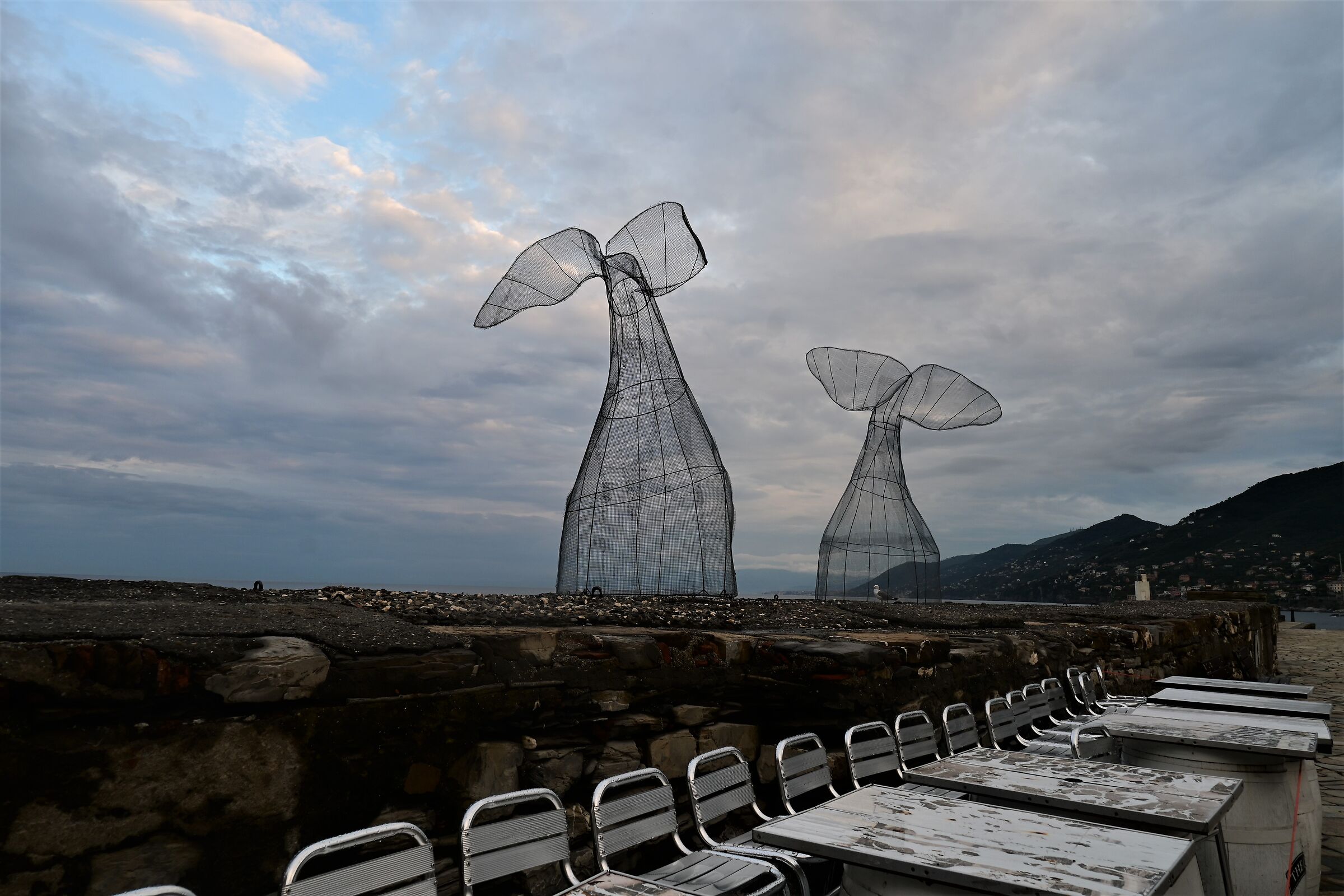 The whales of Camogli