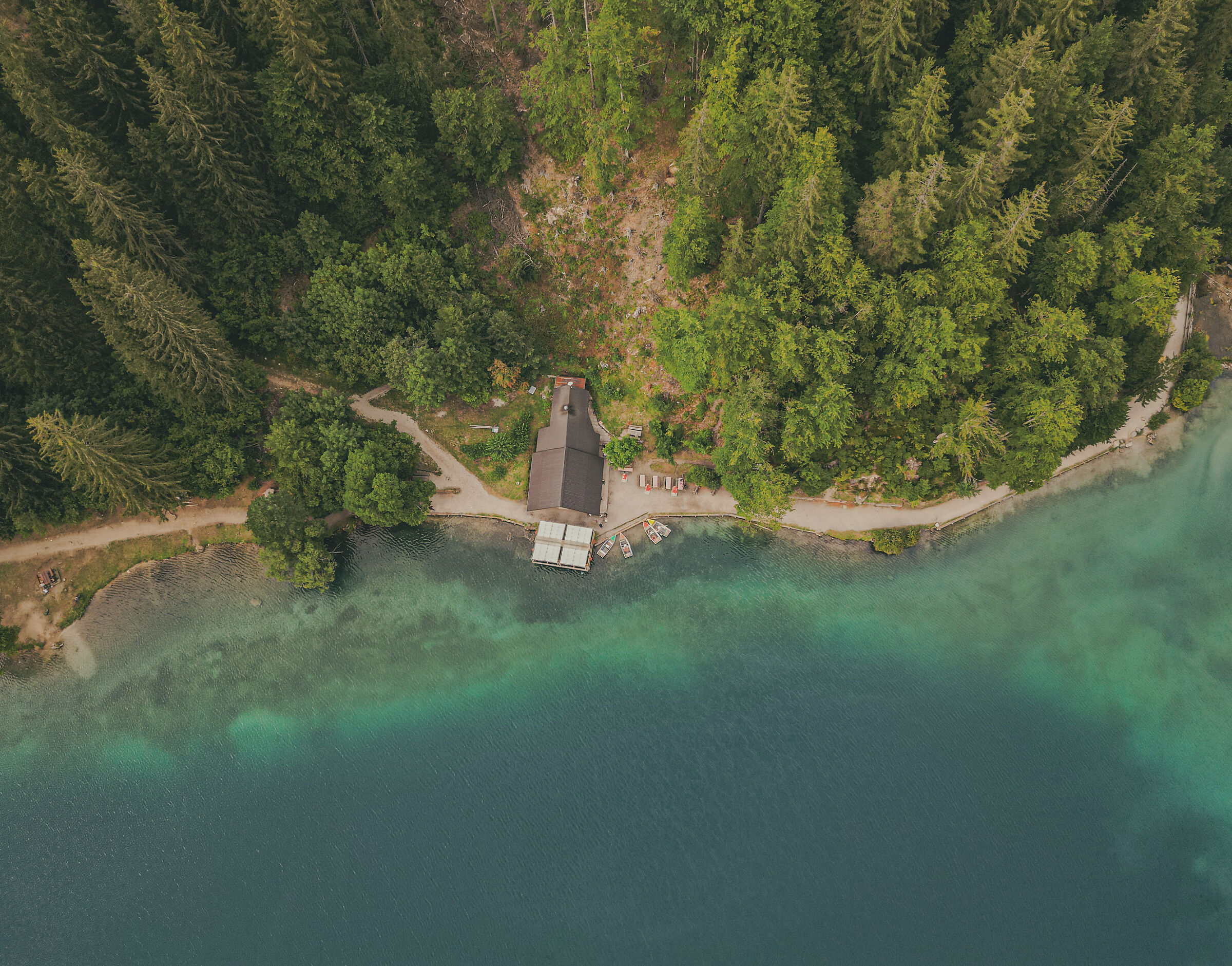 The house by the lake