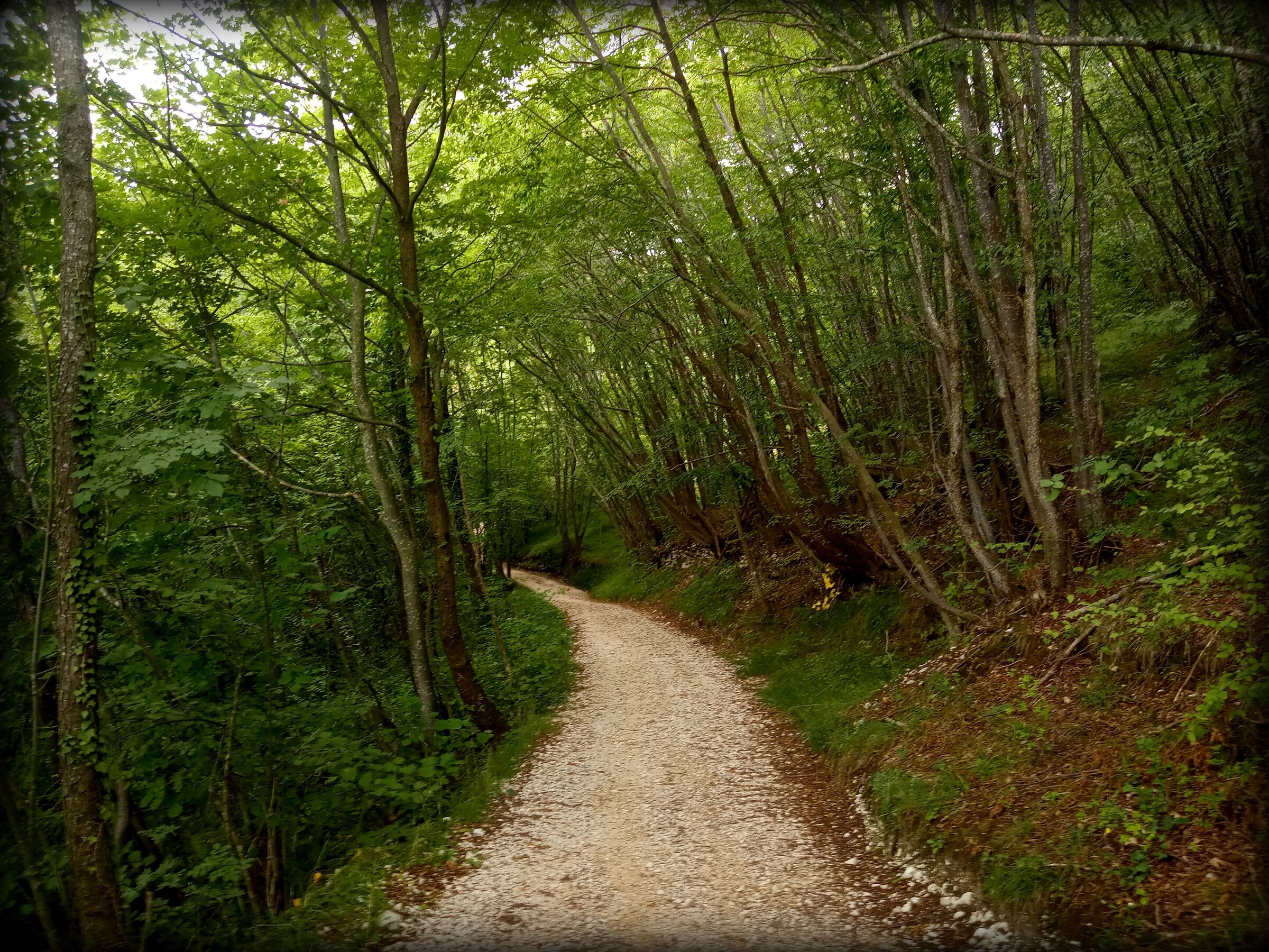 vecia via della lana