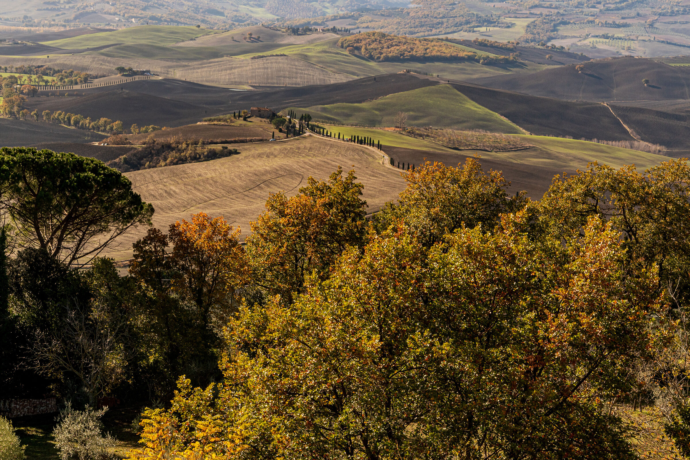 Val d'Orcia