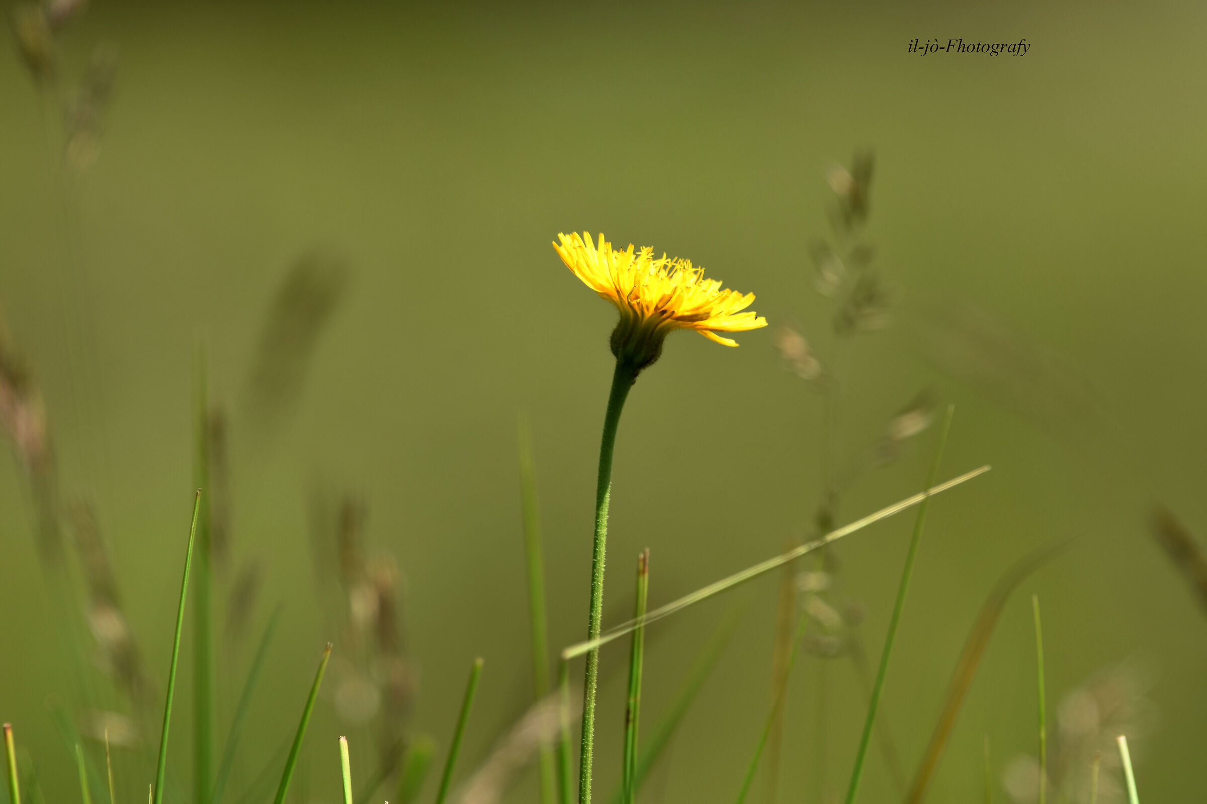 Untitled Photo