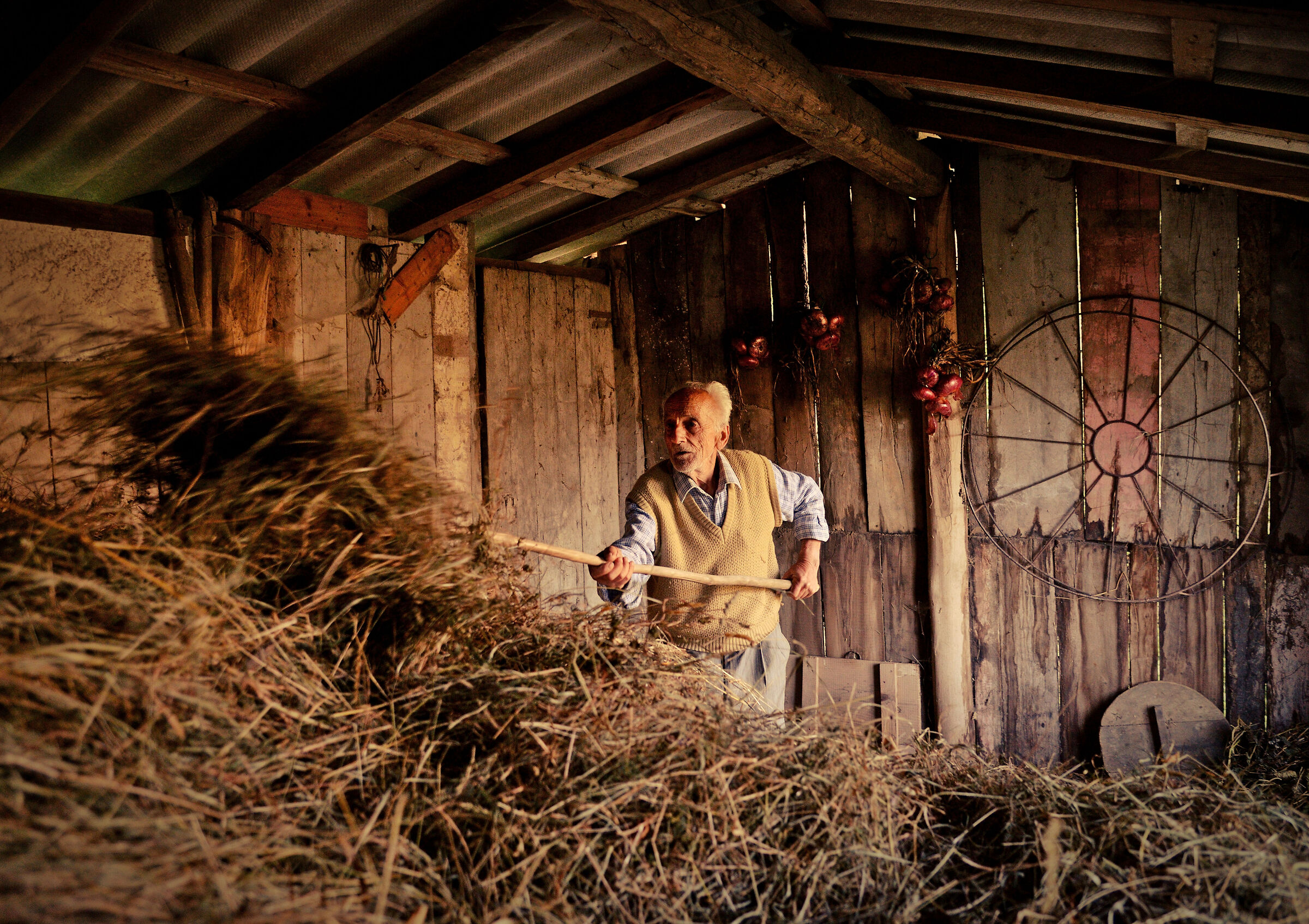Return to the Old Barn