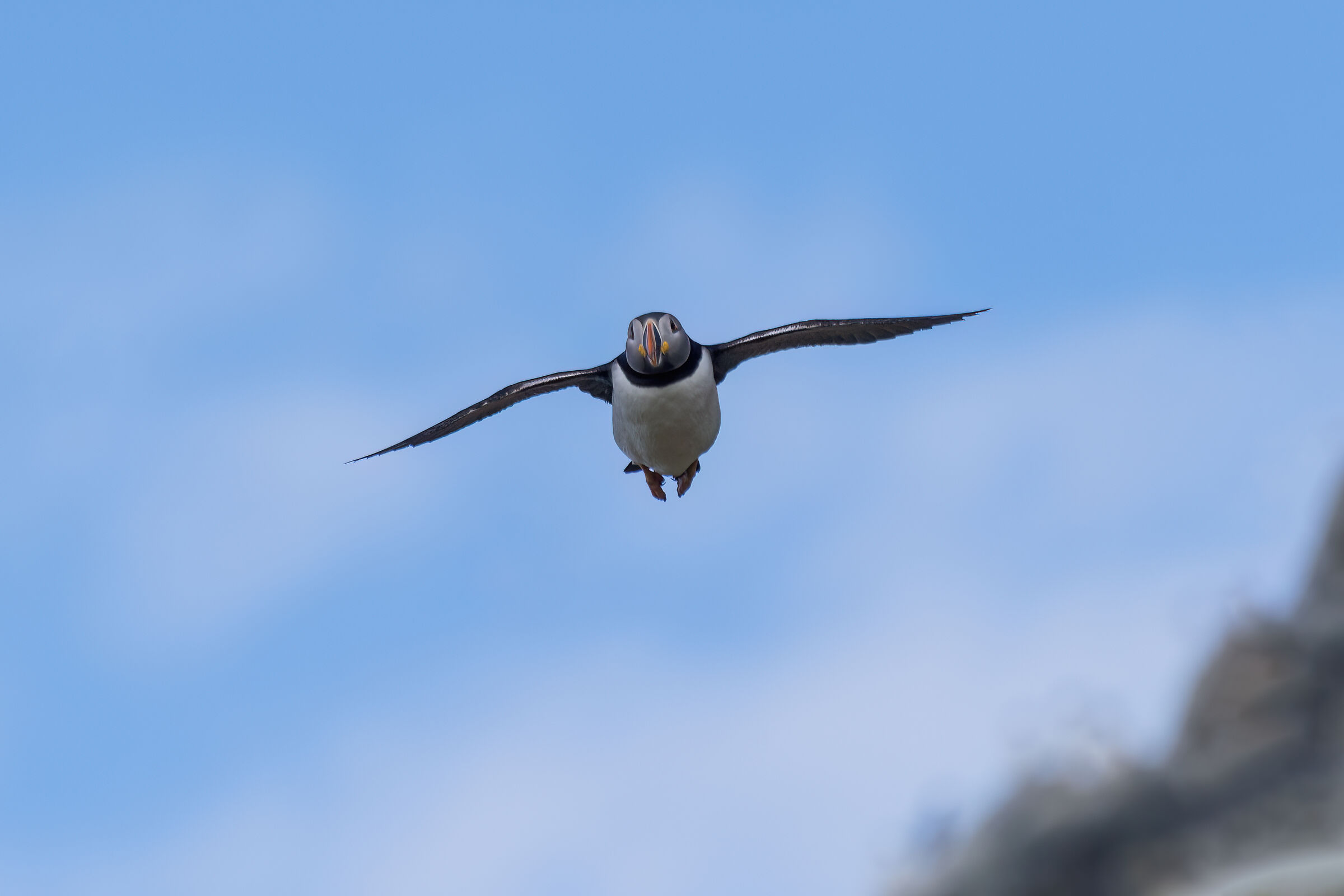 In the sky of Hornoya