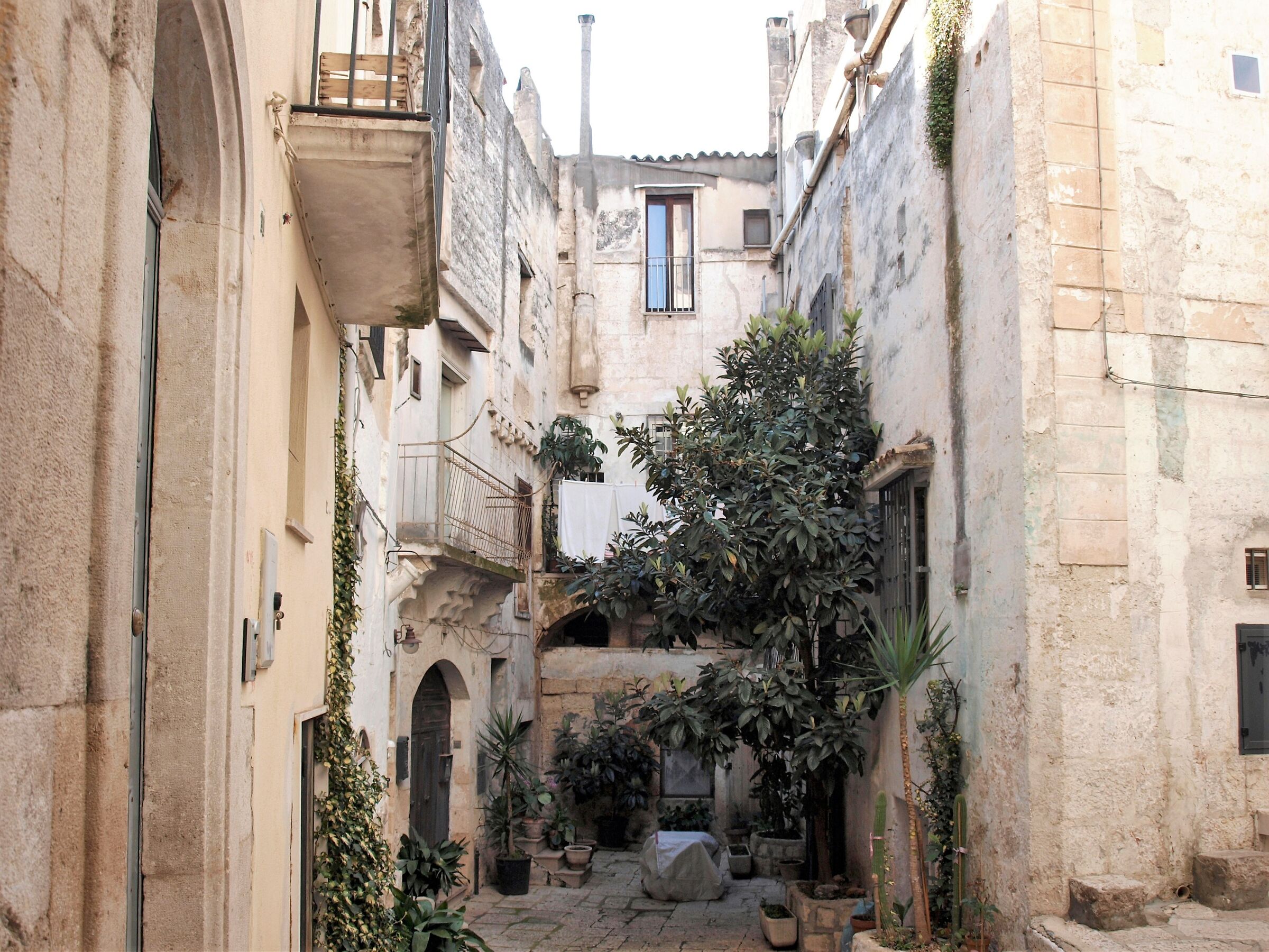Viaggi