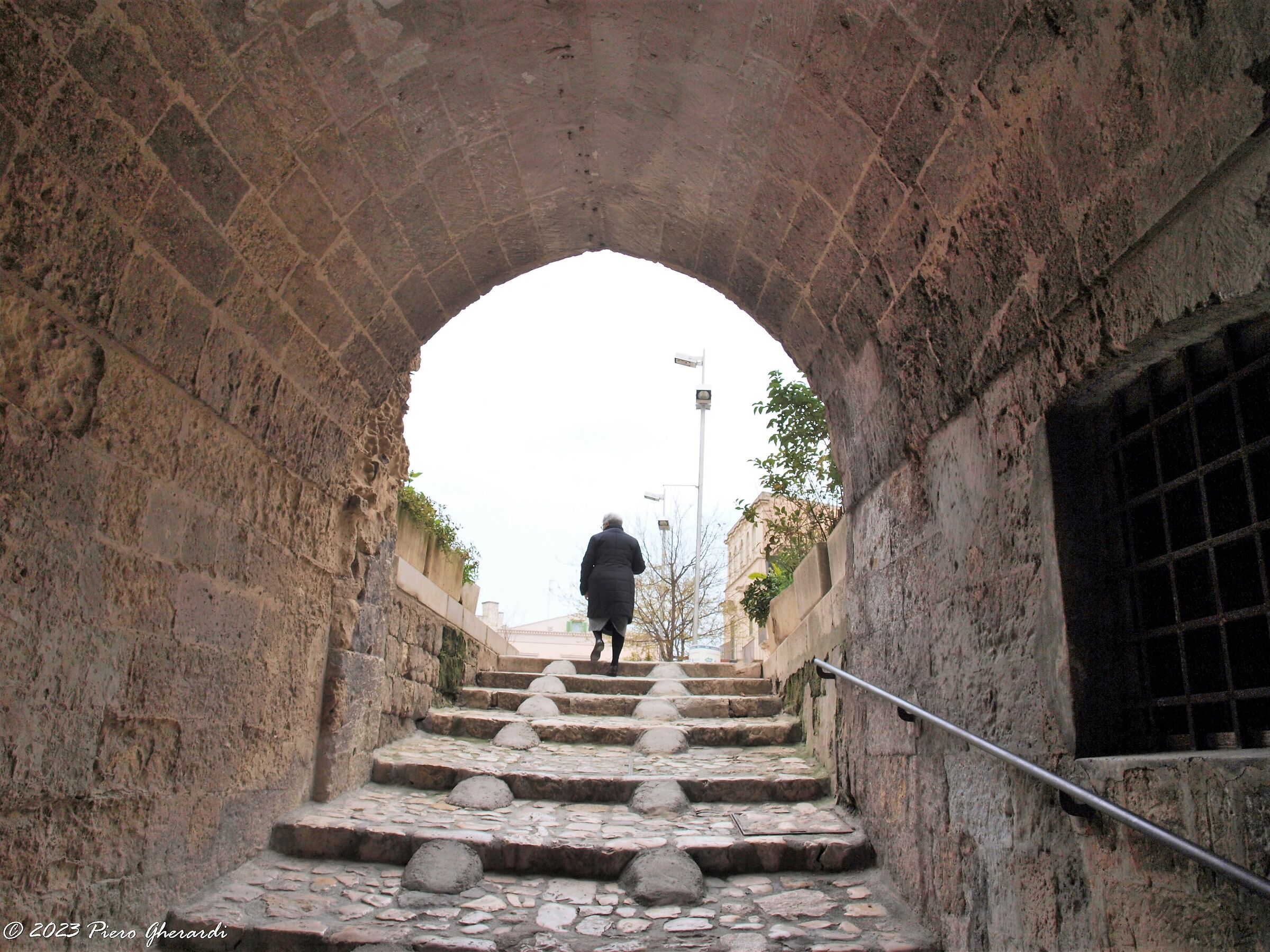 Viaggi