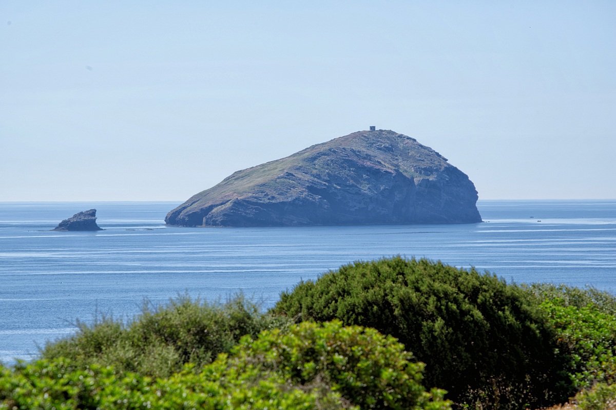 island of the cow and calf