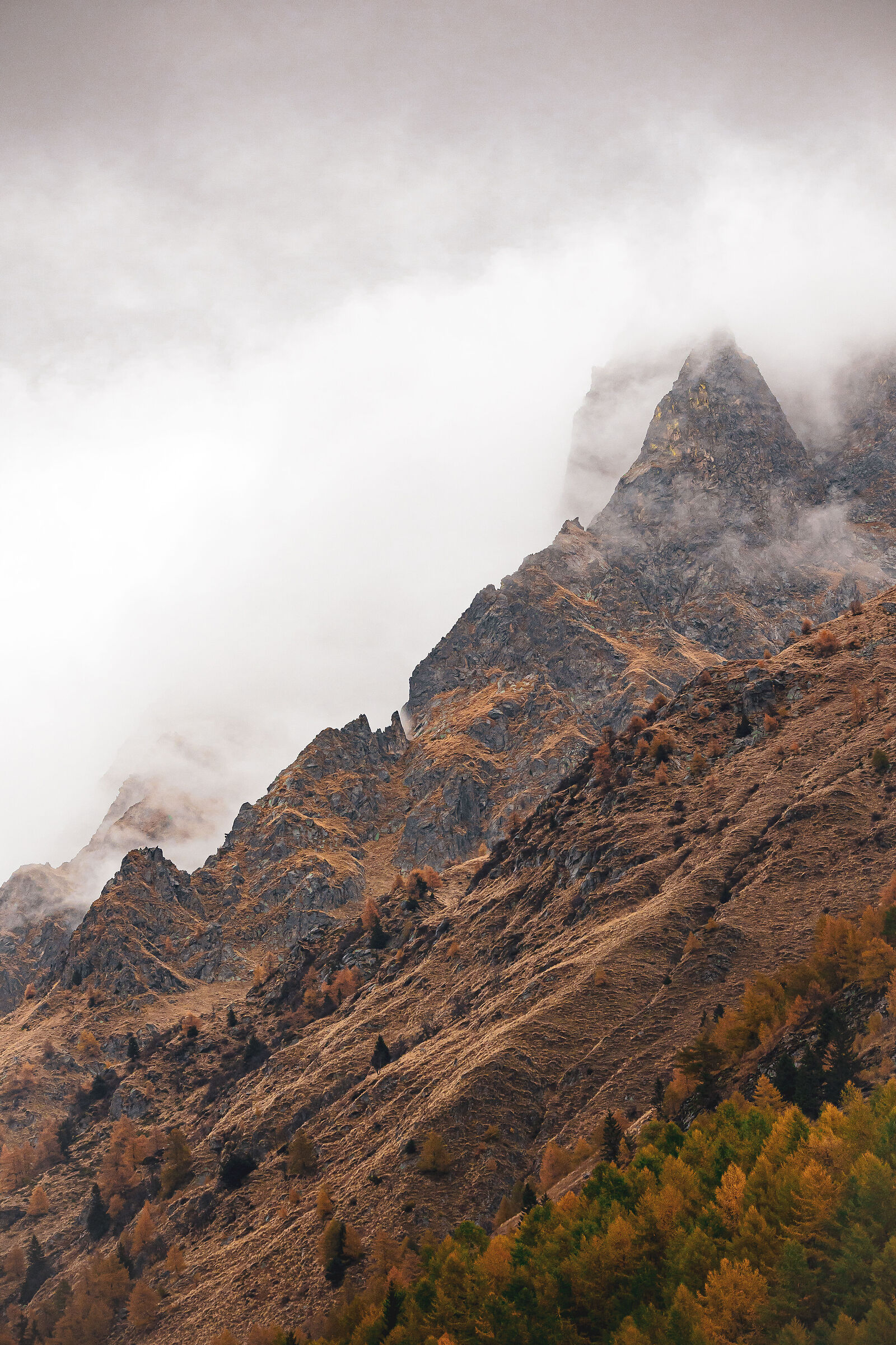 Ridges in the fog