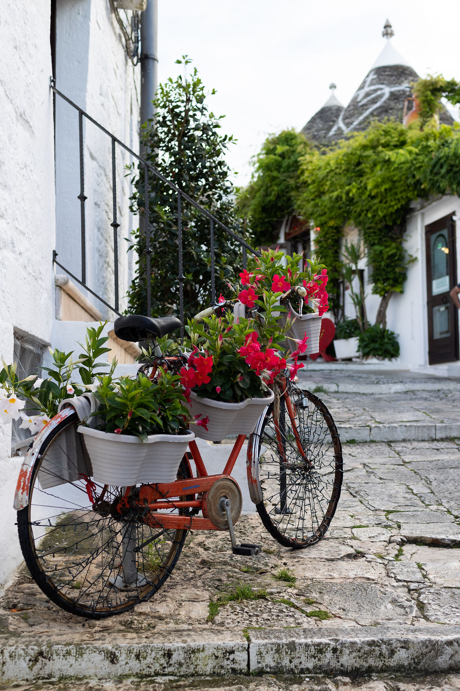 Hotels in Alberobello