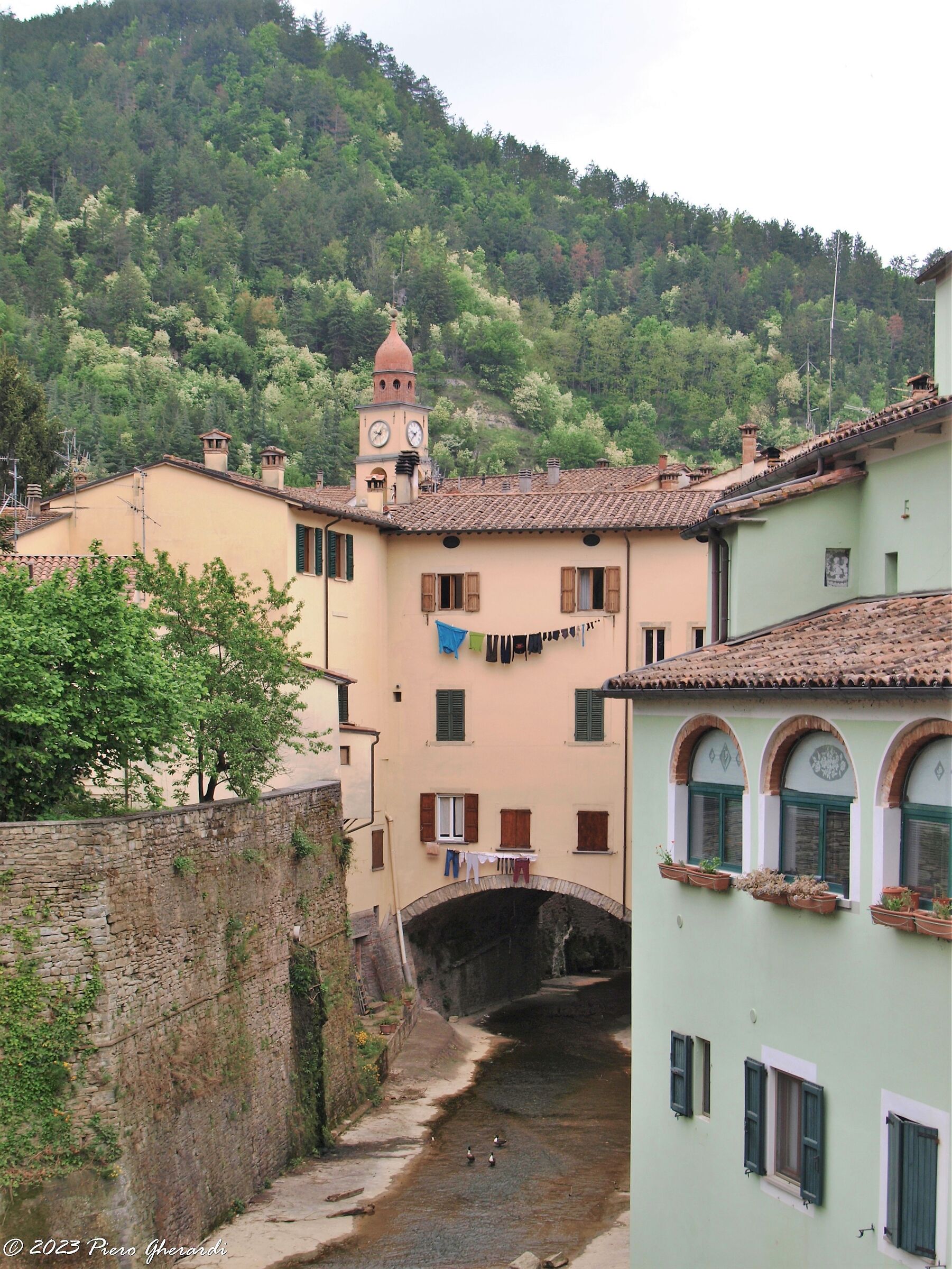 Viaggi