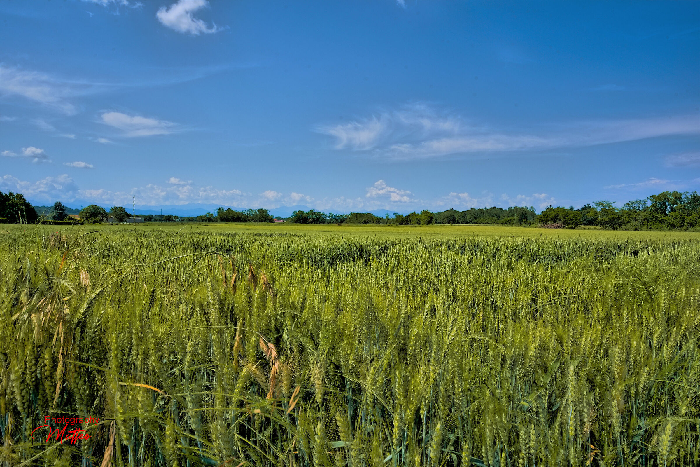 Biologici doni naturali una meraviglia alla visione