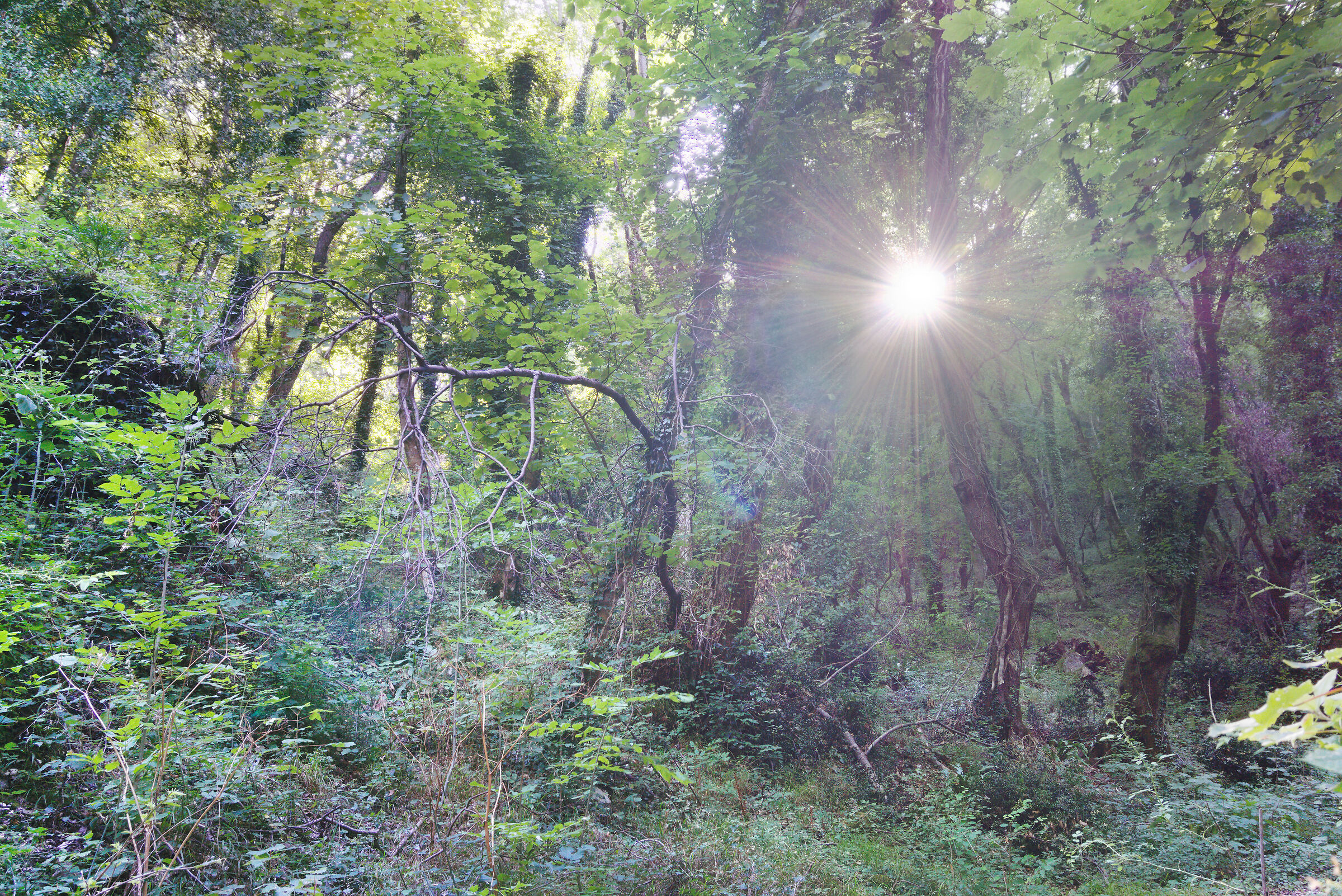 Valleremita green classroom 03