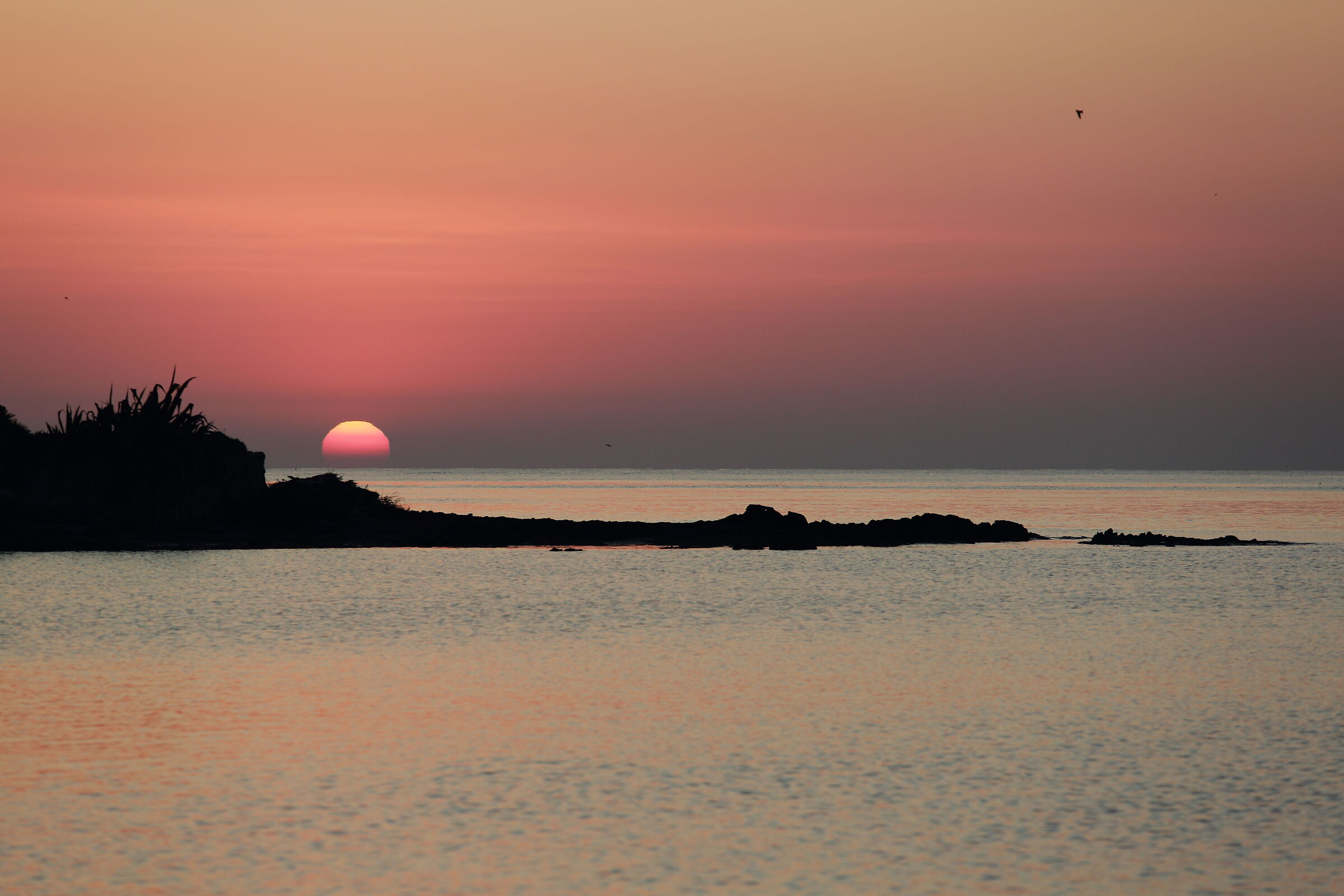 The dawn of a new day ...