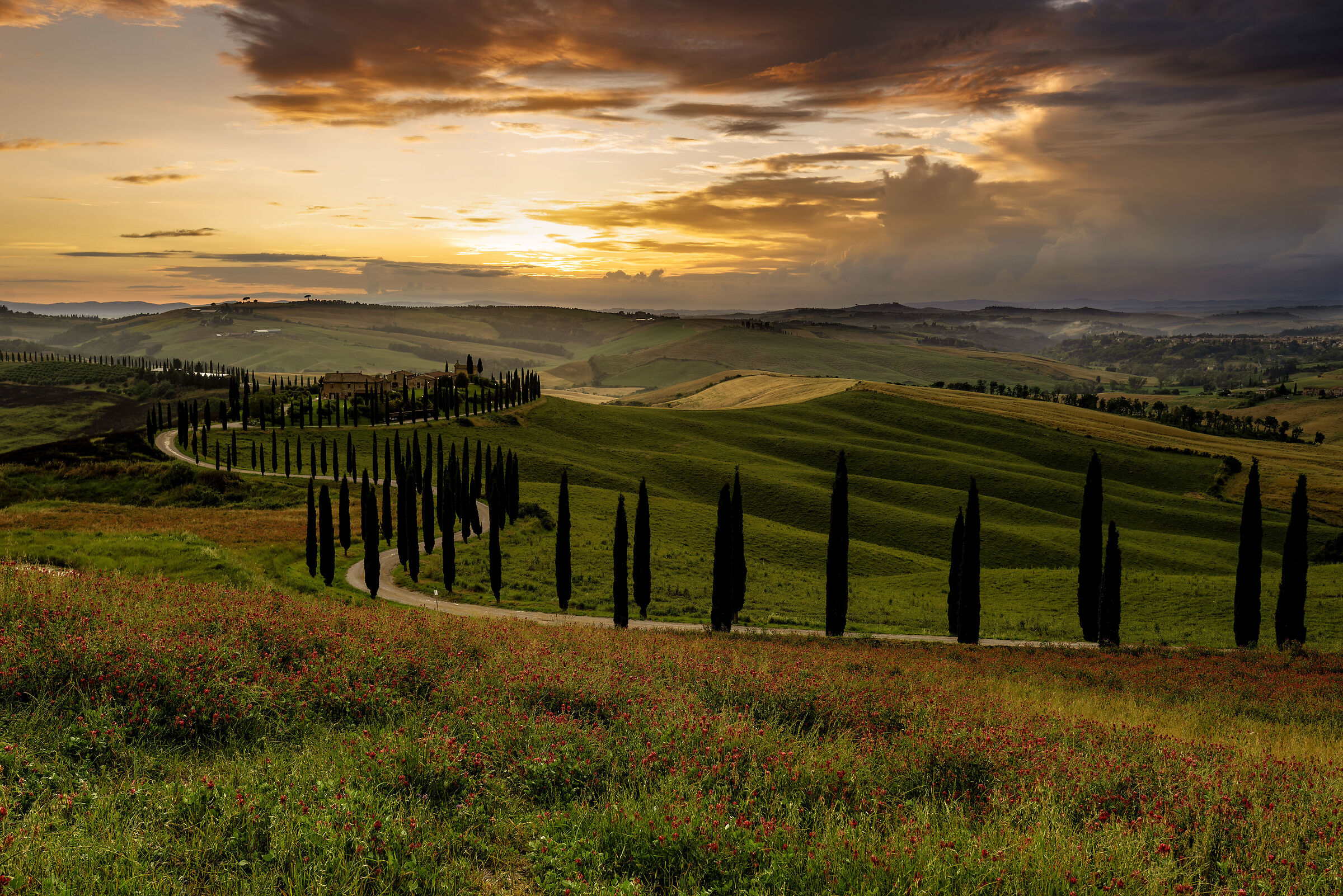 Podere Baccoleno 2023