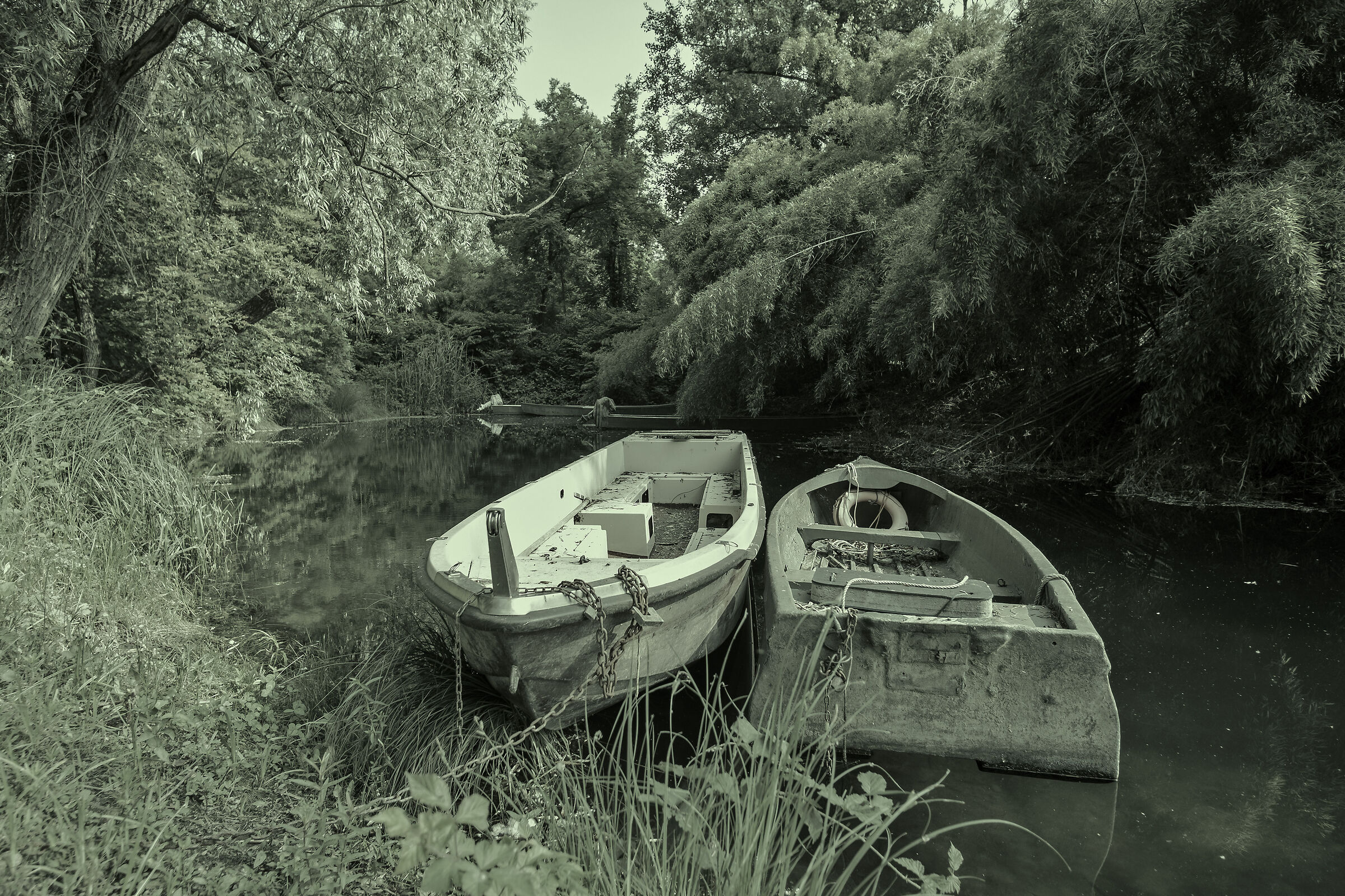 Sedotte e abbandonate 2