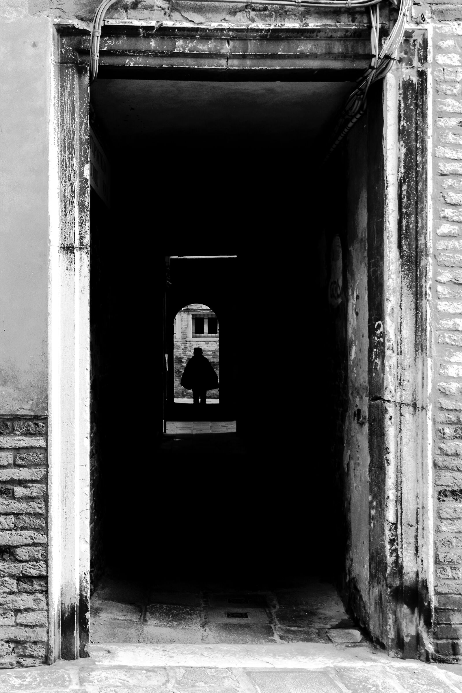 The Vampire in the Shadows