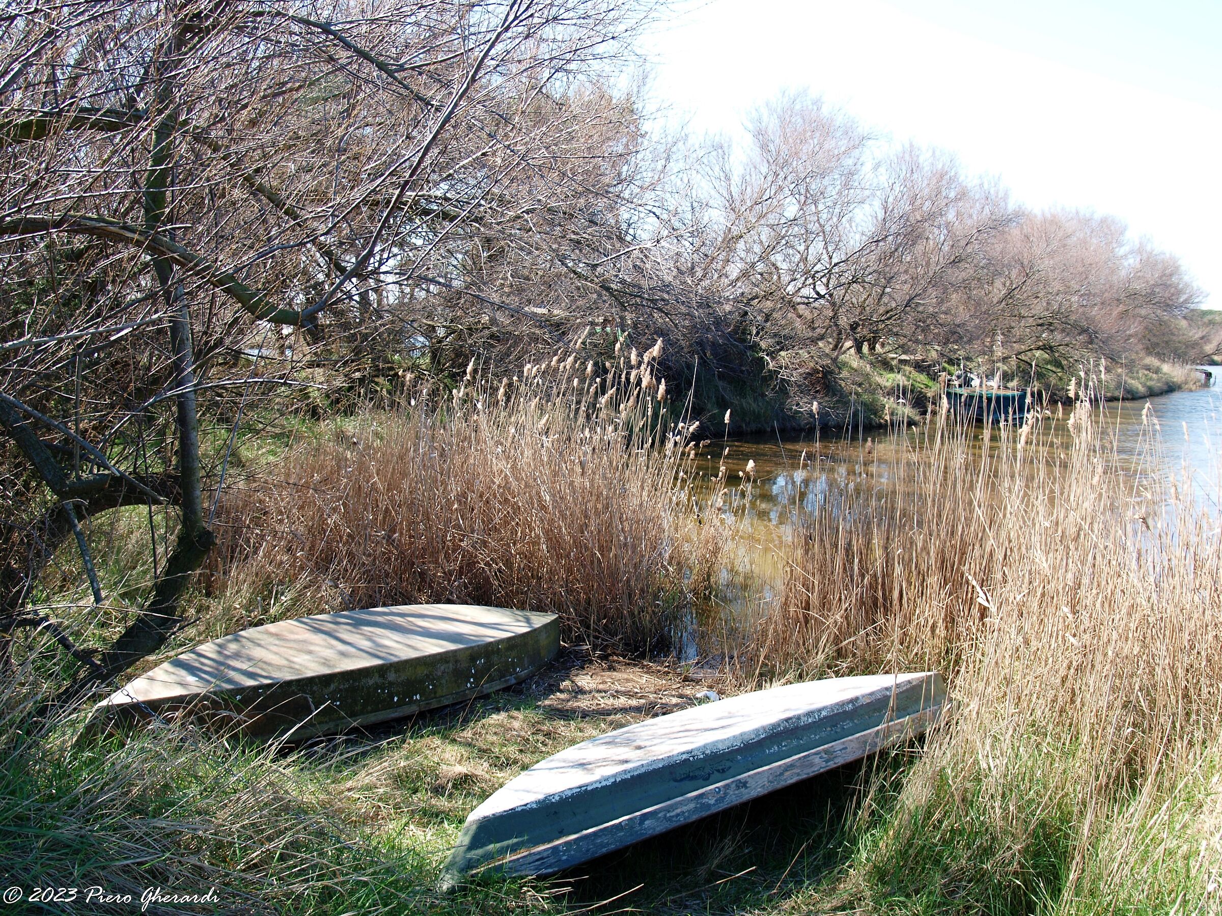 Valli