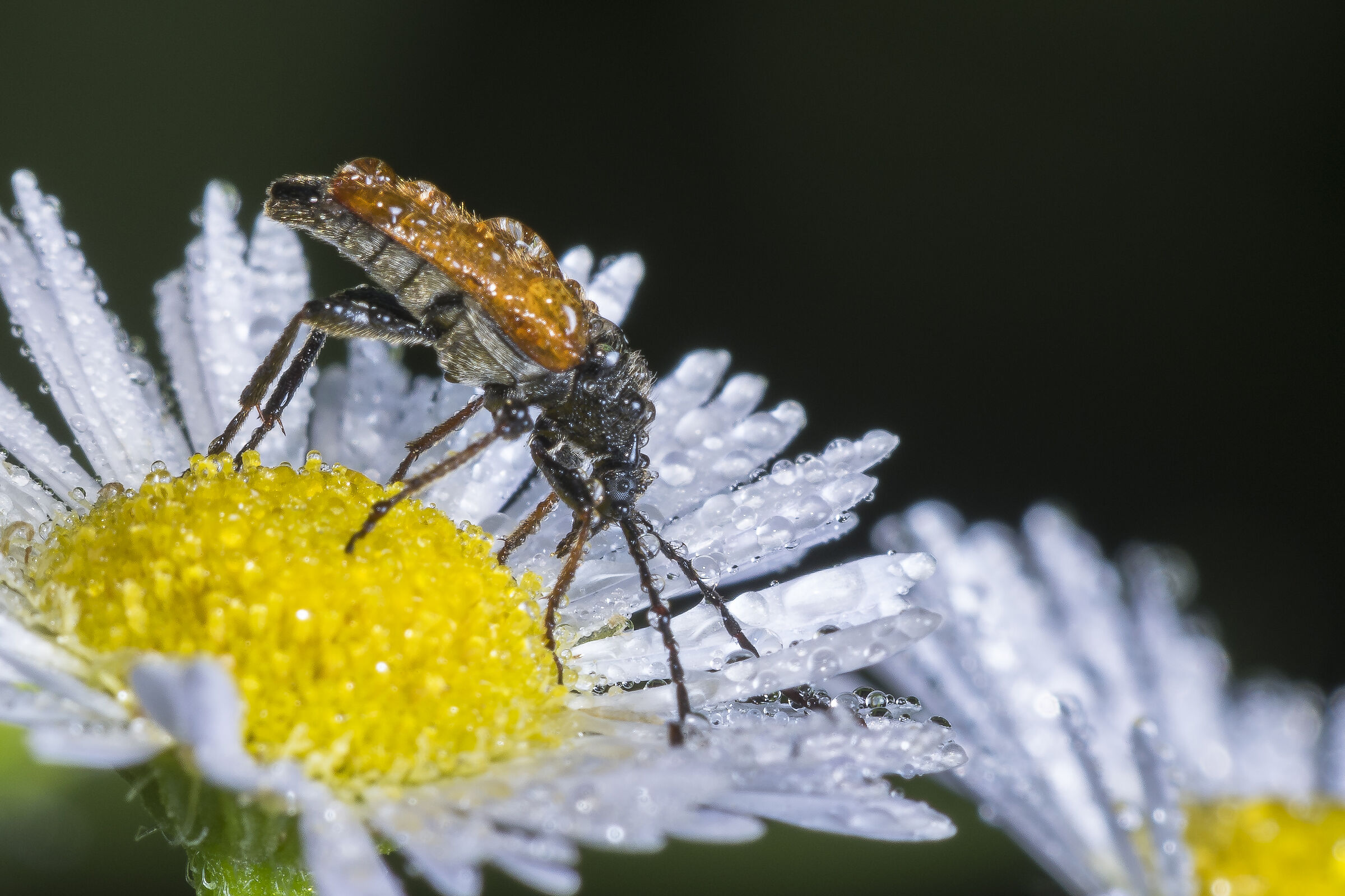 Dal basso verso l'alto nell'acqua
