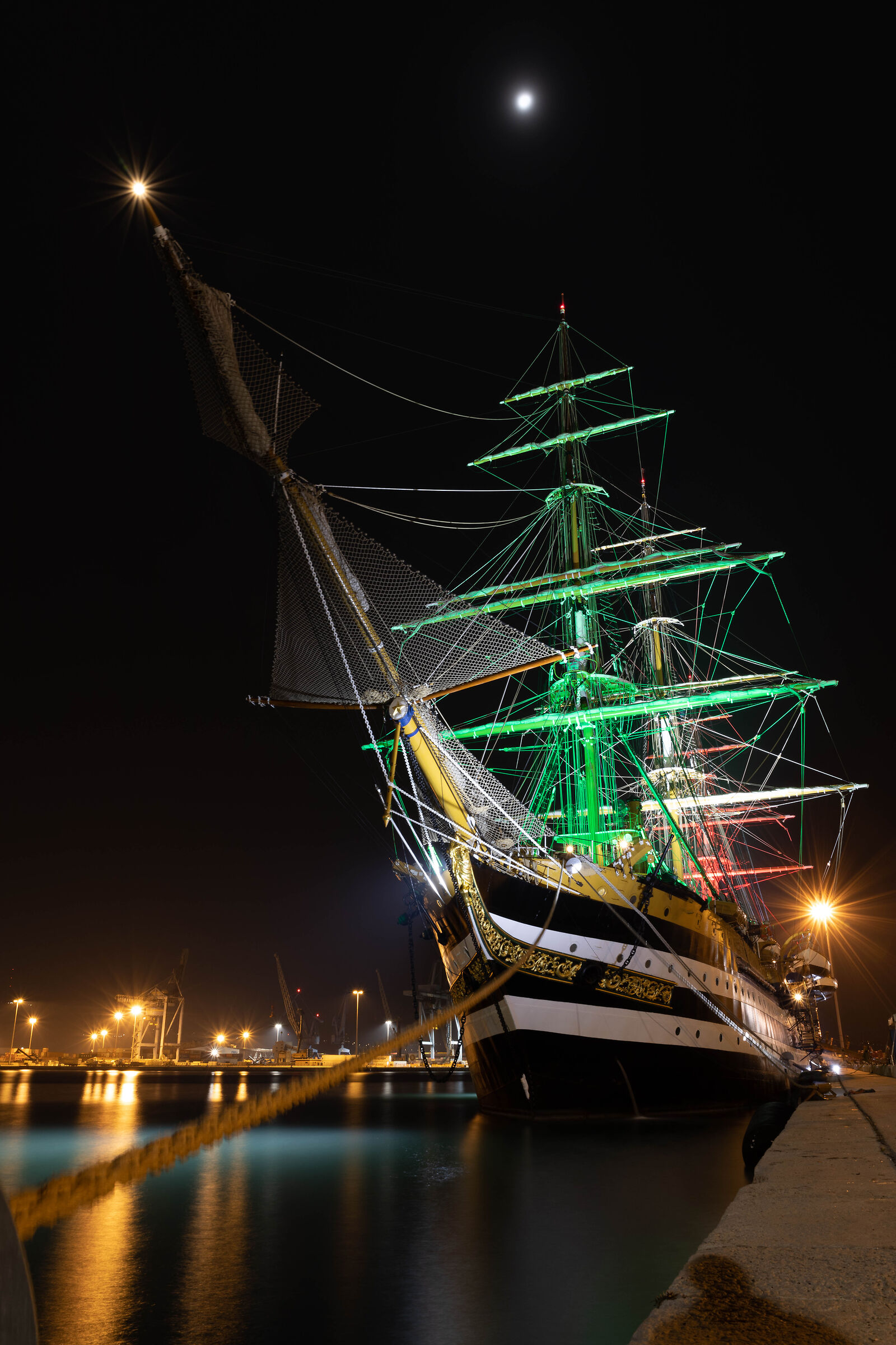 Amerigo vespucci placeholder image