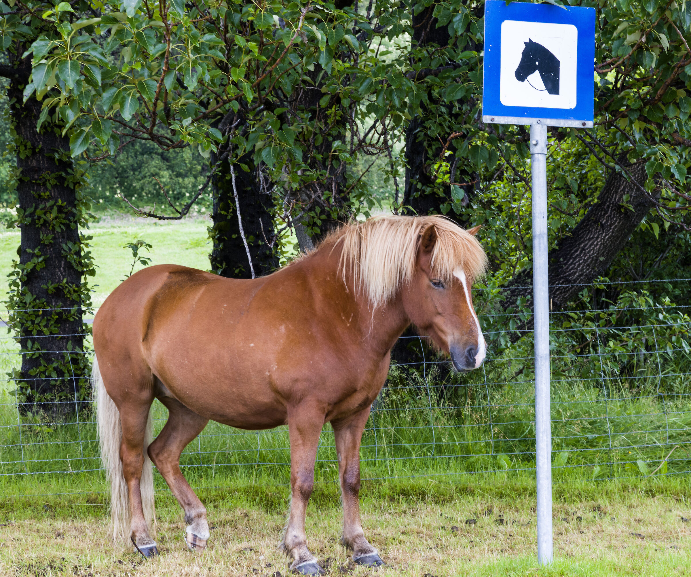Parcheggio riservato